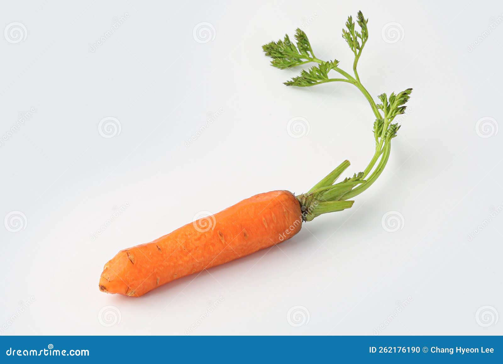 Carrot, Mini Carrot, Small Carrot, Baby Carrot Stock Photo Image of