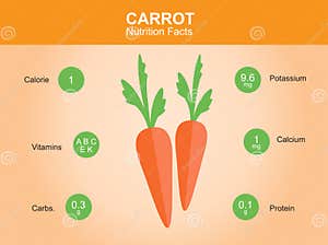 Carrot Nutrition Facts Carrot With Information Carrot Vector Stock Vector Image 55122518 Carrot Nutrition Facts Carrot With Information Carrot Vector Stock Vector Image 55122518