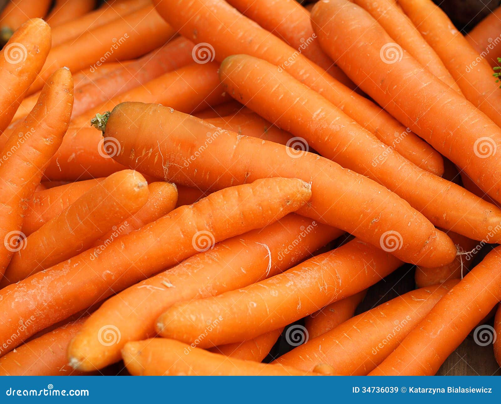 carrot pile