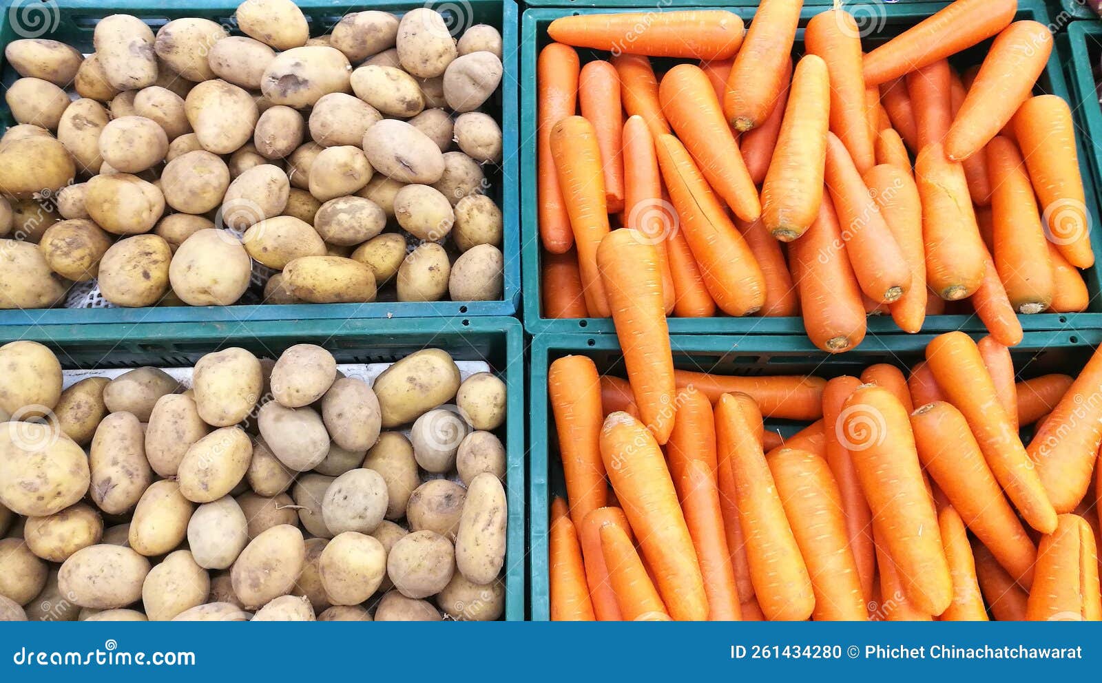 Carrot and potato stock photo. Image of herb, vegetable 261434280