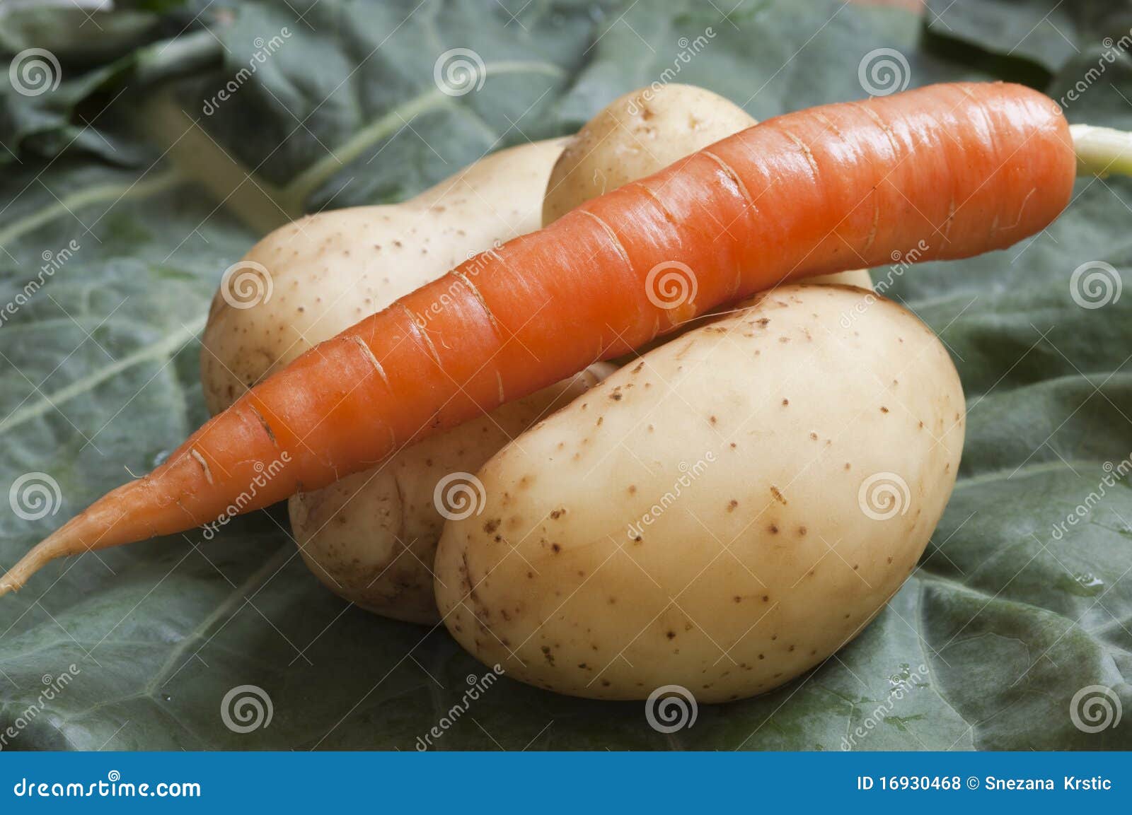 Carrot and Potatoes Close Up Stock Photo Image of gold, fresh 16930468