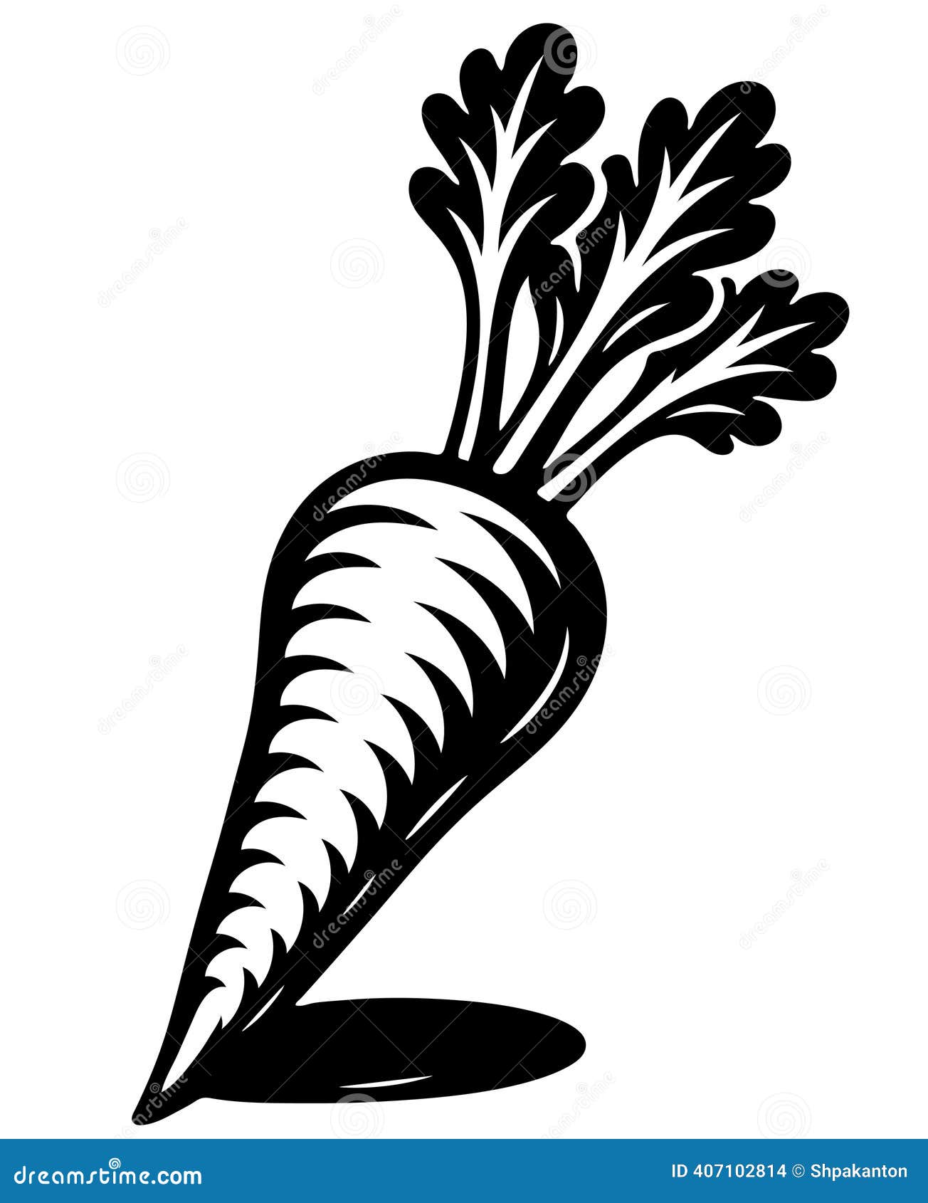 A Carrot is Shown in a Black and White Drawing Stock Vector - Illustration  of sense, healthy: 407102814, image size:1304x1690