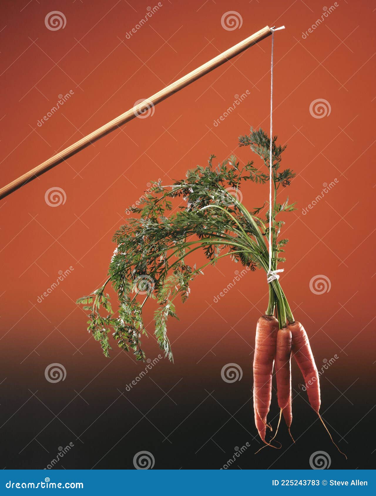 carrot and stick - a metaphor for a method of persuasion