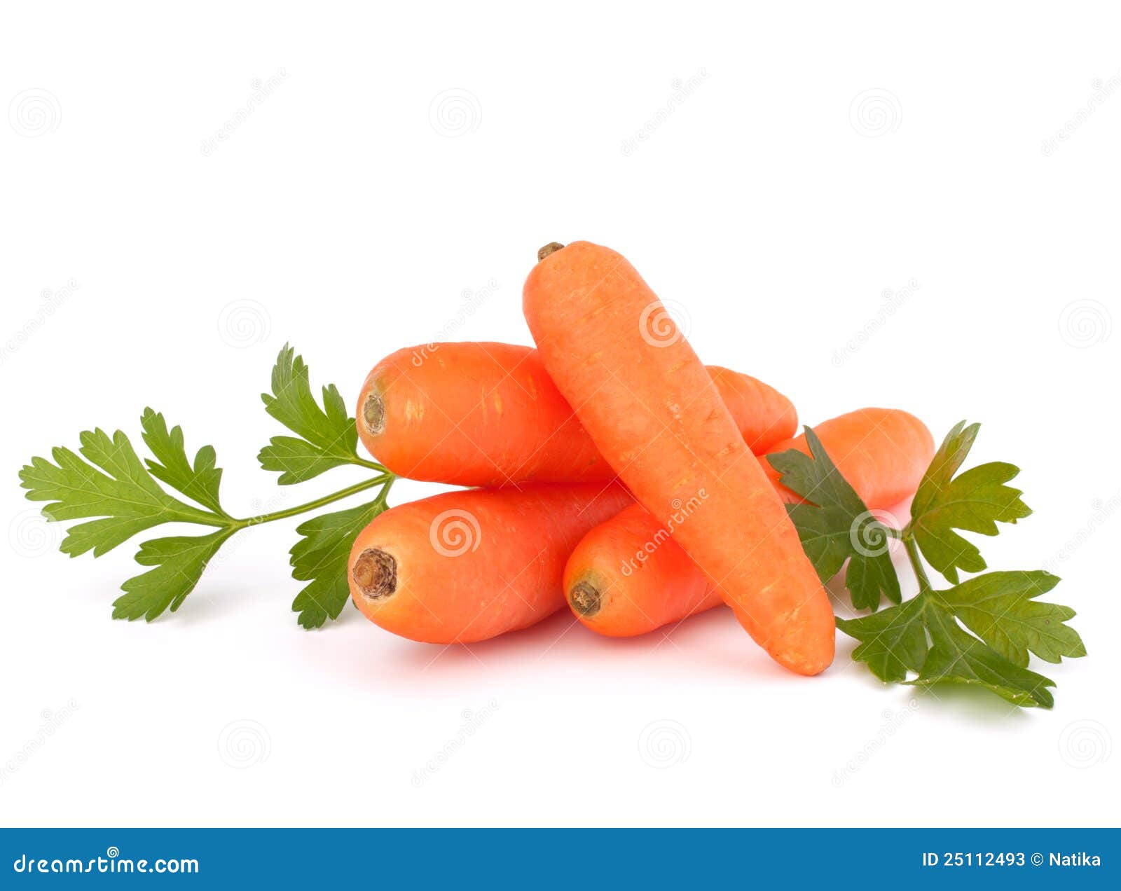 Carrot tubers stock image. Image of cooking, root, green 25112493