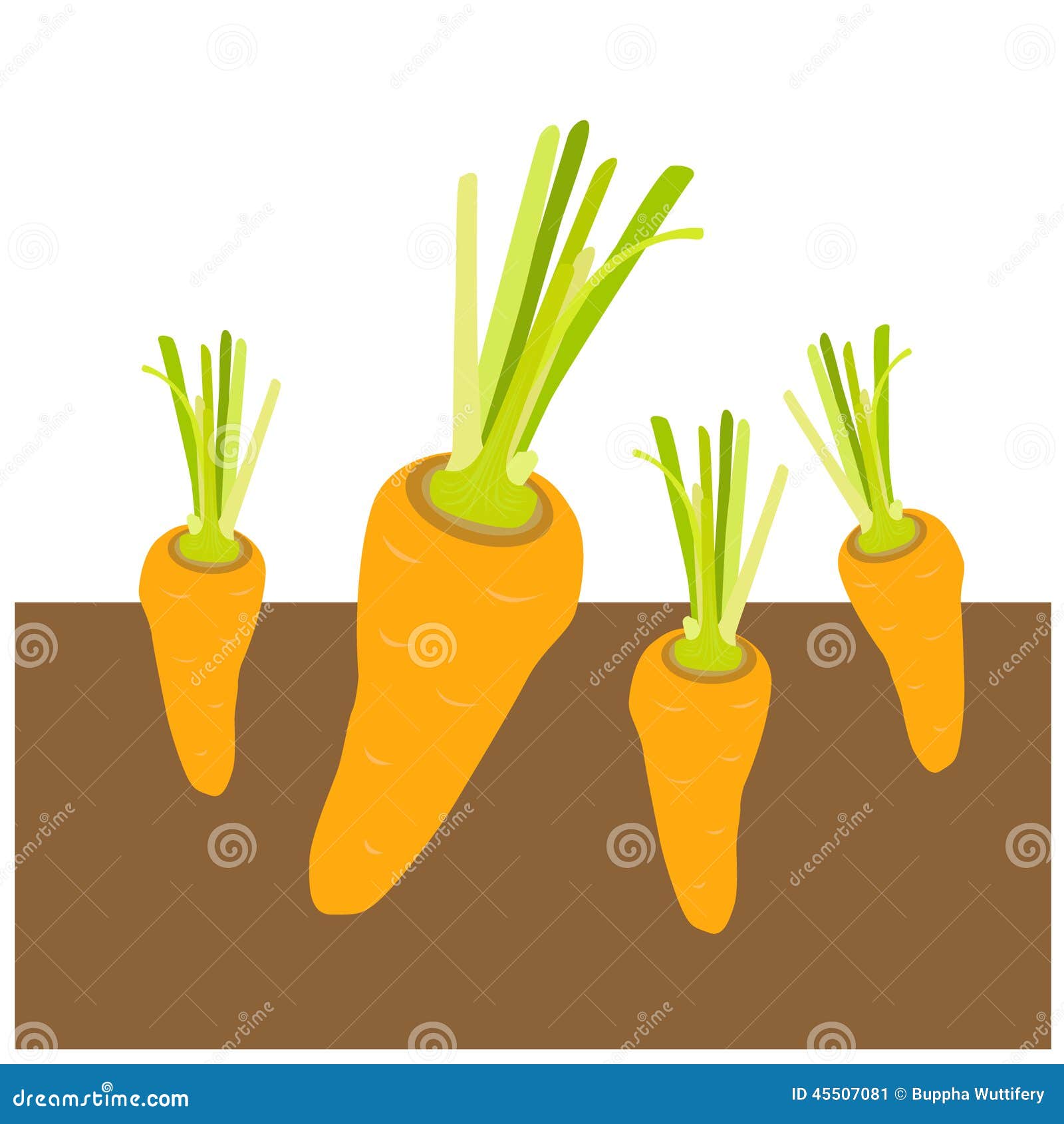 Carrot vector stock vector. Illustration of design, carotene - 45507081