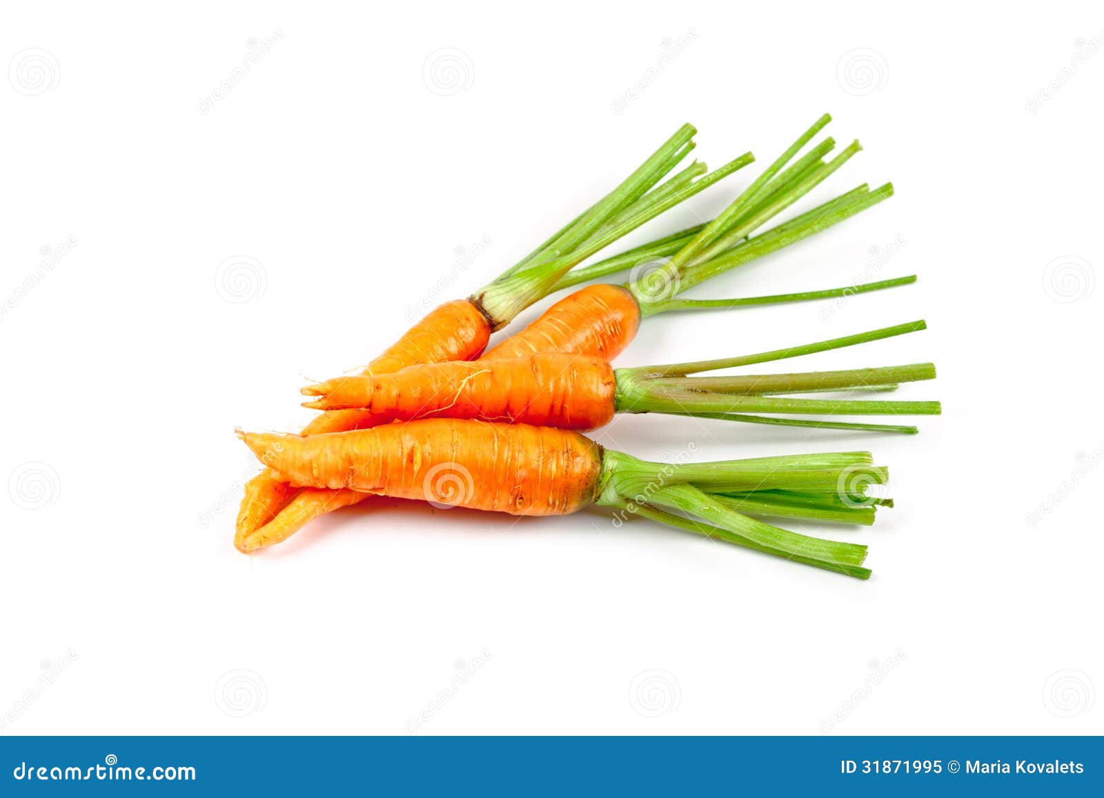 Carrot Vegetable with Leaves Stock Image Image of isolated, dieting