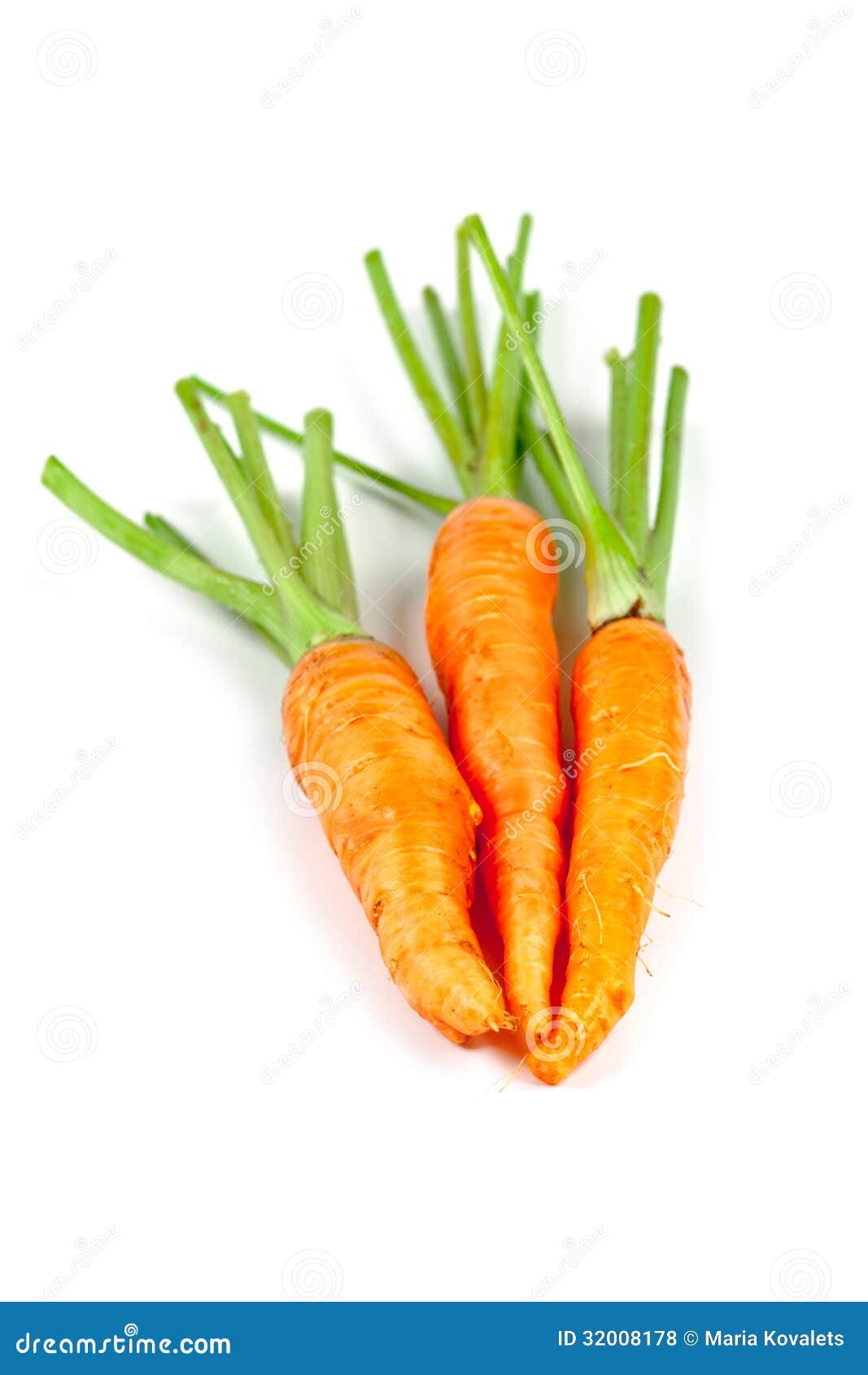 Carrot Vegetable with Leaves Stock Photo Image of carrot, leaf 32008178