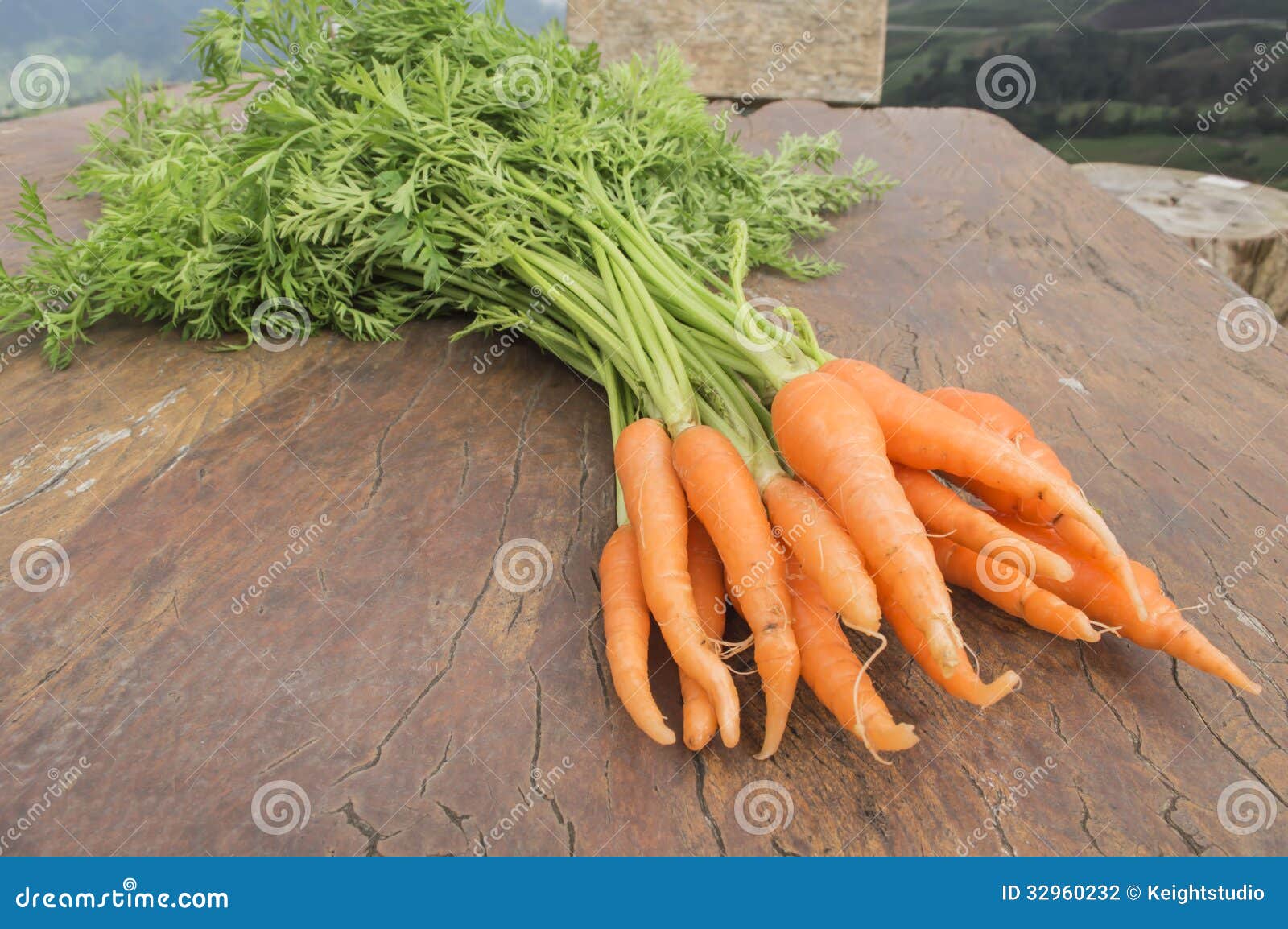 Carrot Vegetable with Leaves Stock Photo Image of cutout, orange