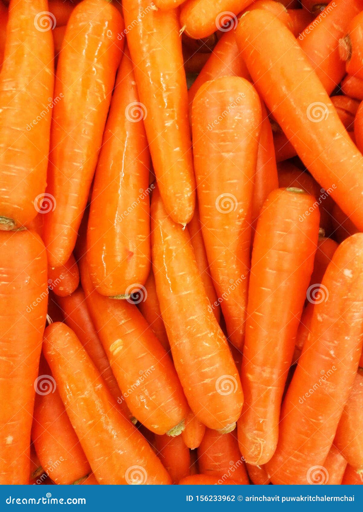 65205 Carrot Wallpaper Images Stock Photos  Vectors  Shutterstock