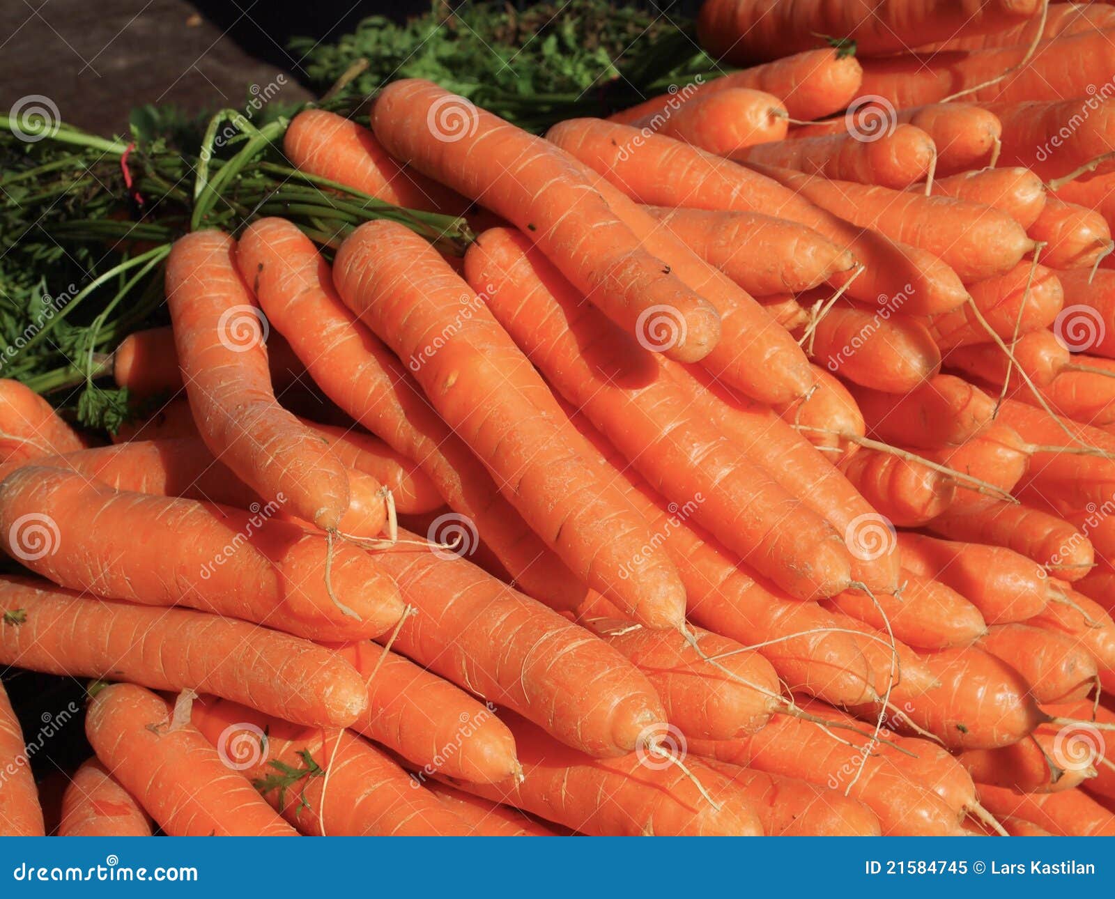 Carrots stock image. Image of diet, vegetarian, orange - 21584745