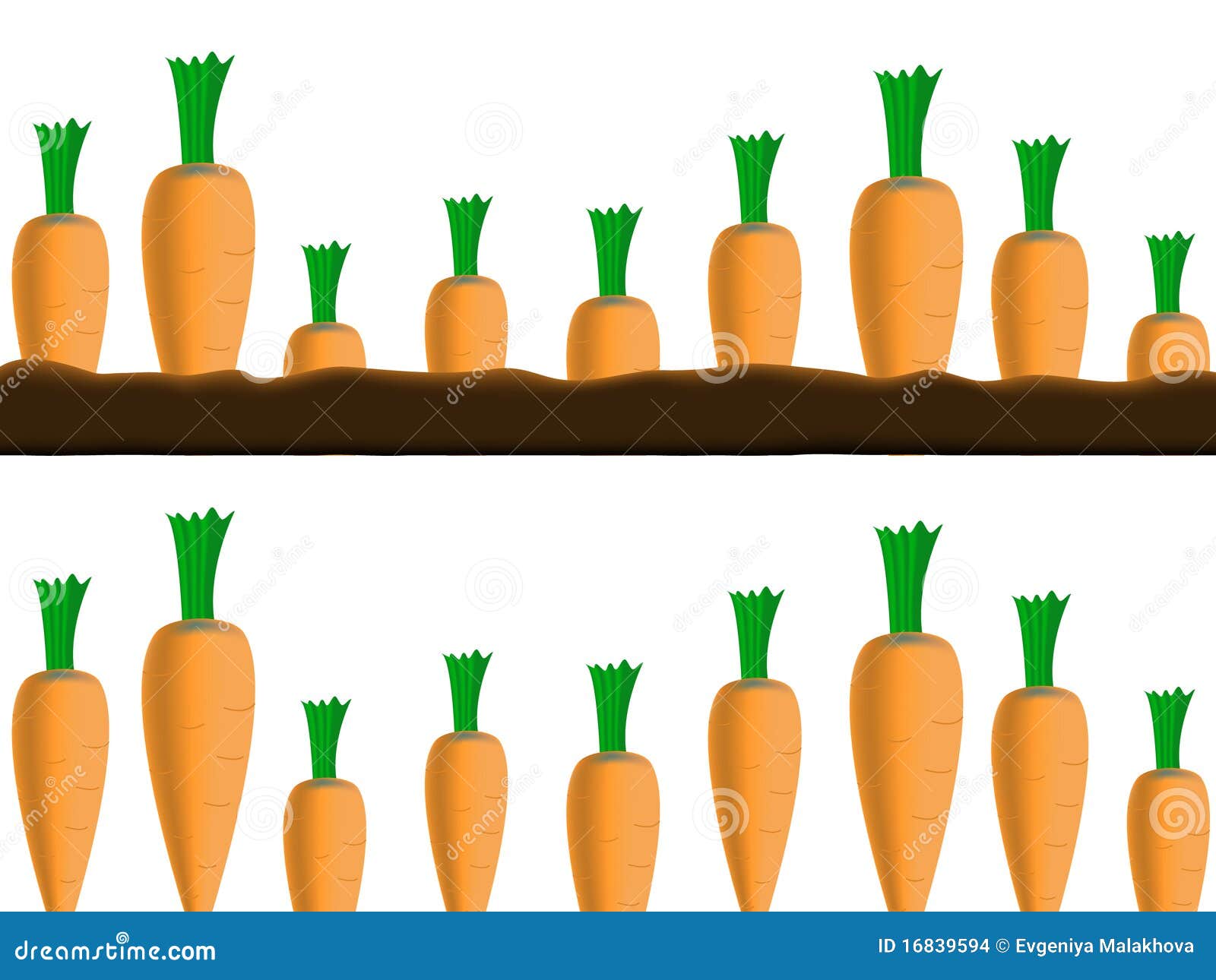Carrots borders stock vector. Illustration of food, crop - 16839594