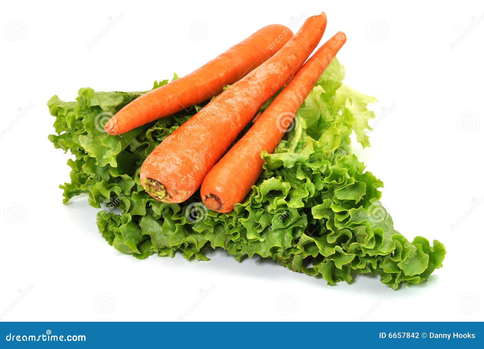 Carrots And Lettuce Stock Photography Image 6657842