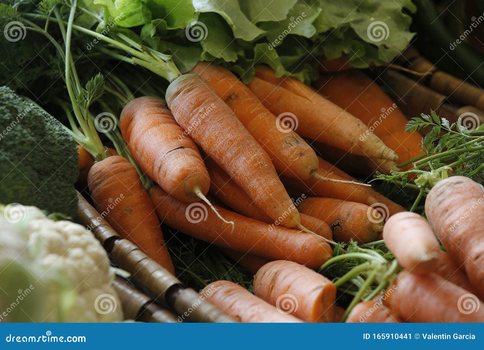 carrots and other vegetables