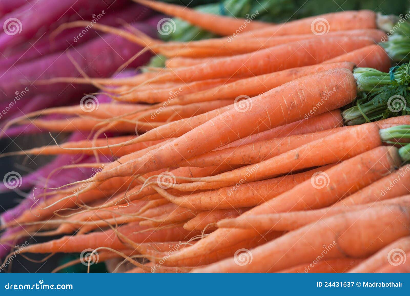 Carrots and radish stock image. Image of fresh, offer 24431637