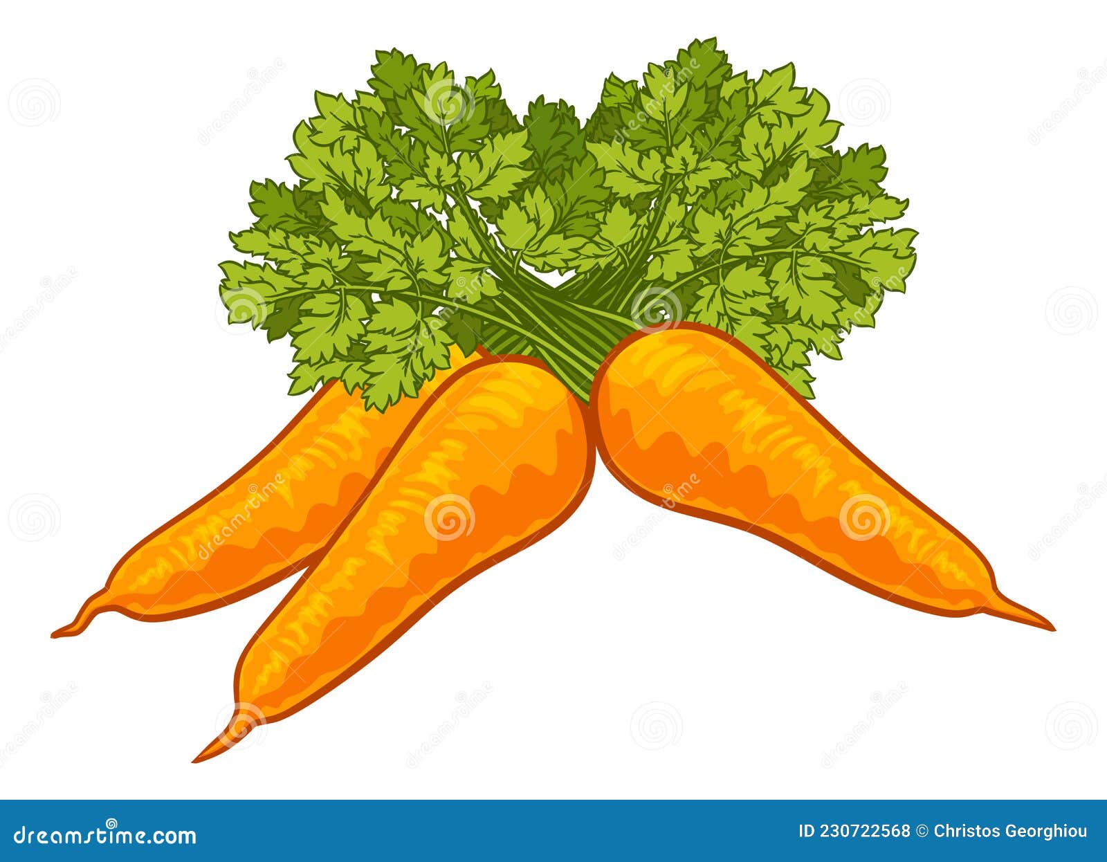 Carrots Vegetable Cartoon Illustration Stock Vector Illustration of leaf, plant 230722568