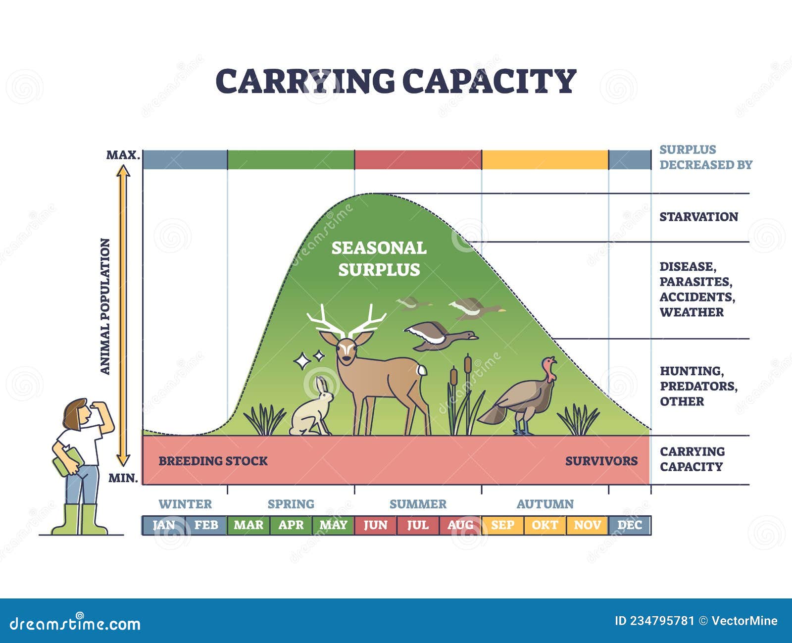 carrying capacity as reproduction level with seasonal surplus outline diagram