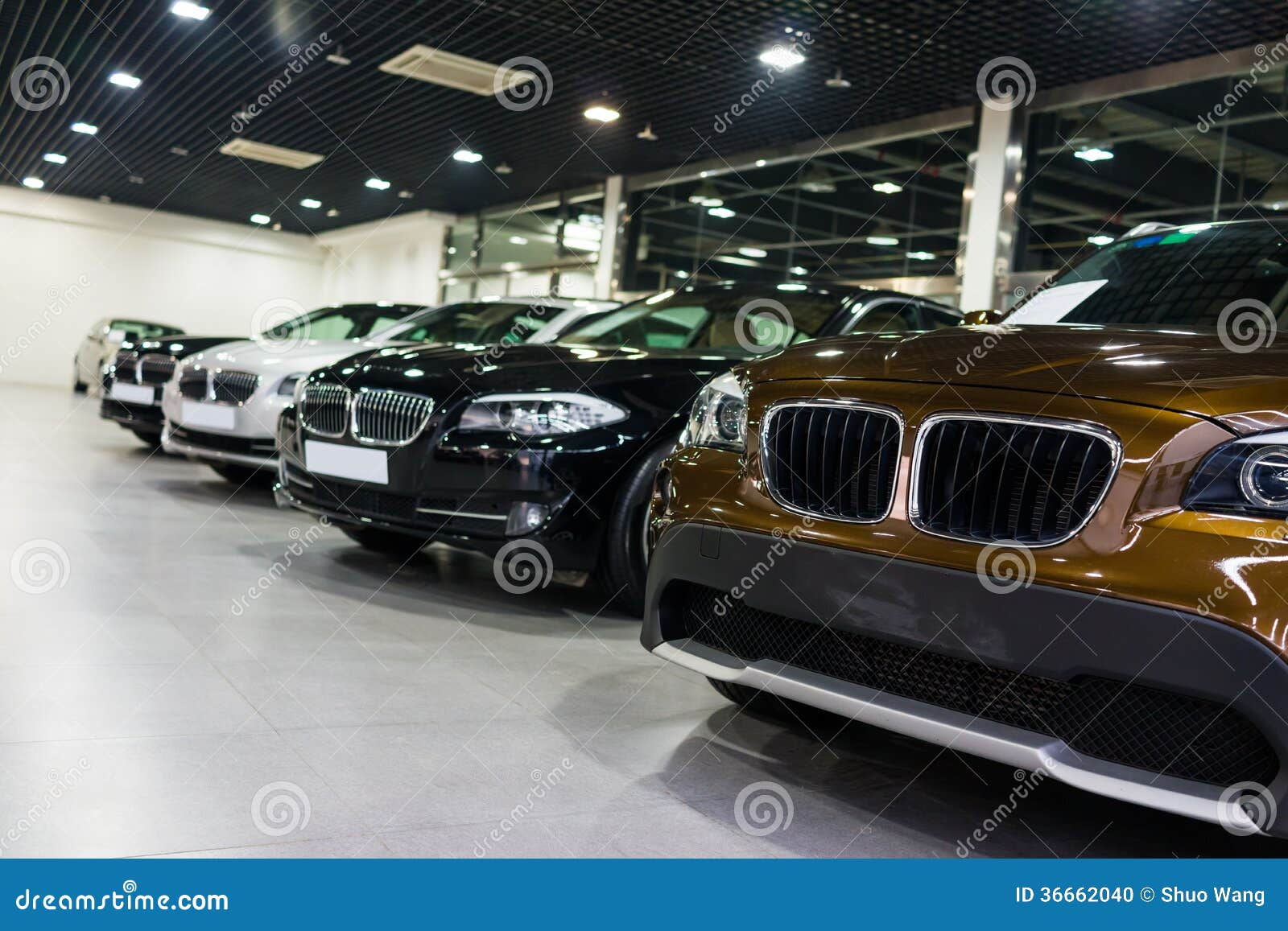 cars for sale in showroom