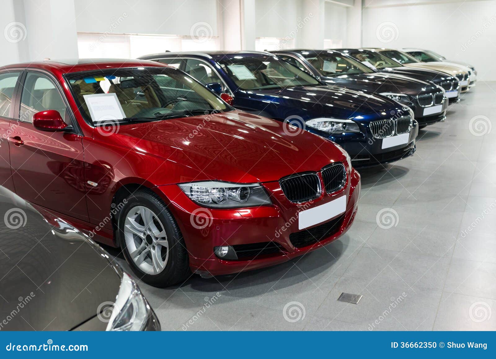 Kwalificatie afstand Plenaire sessie Cars for sale in showroom stock photo. Image of coupe - 36662350 Kwalificatie afstand Plenaire sessie Cars for sale in showroom stock photo. Image of coupe - 36662350