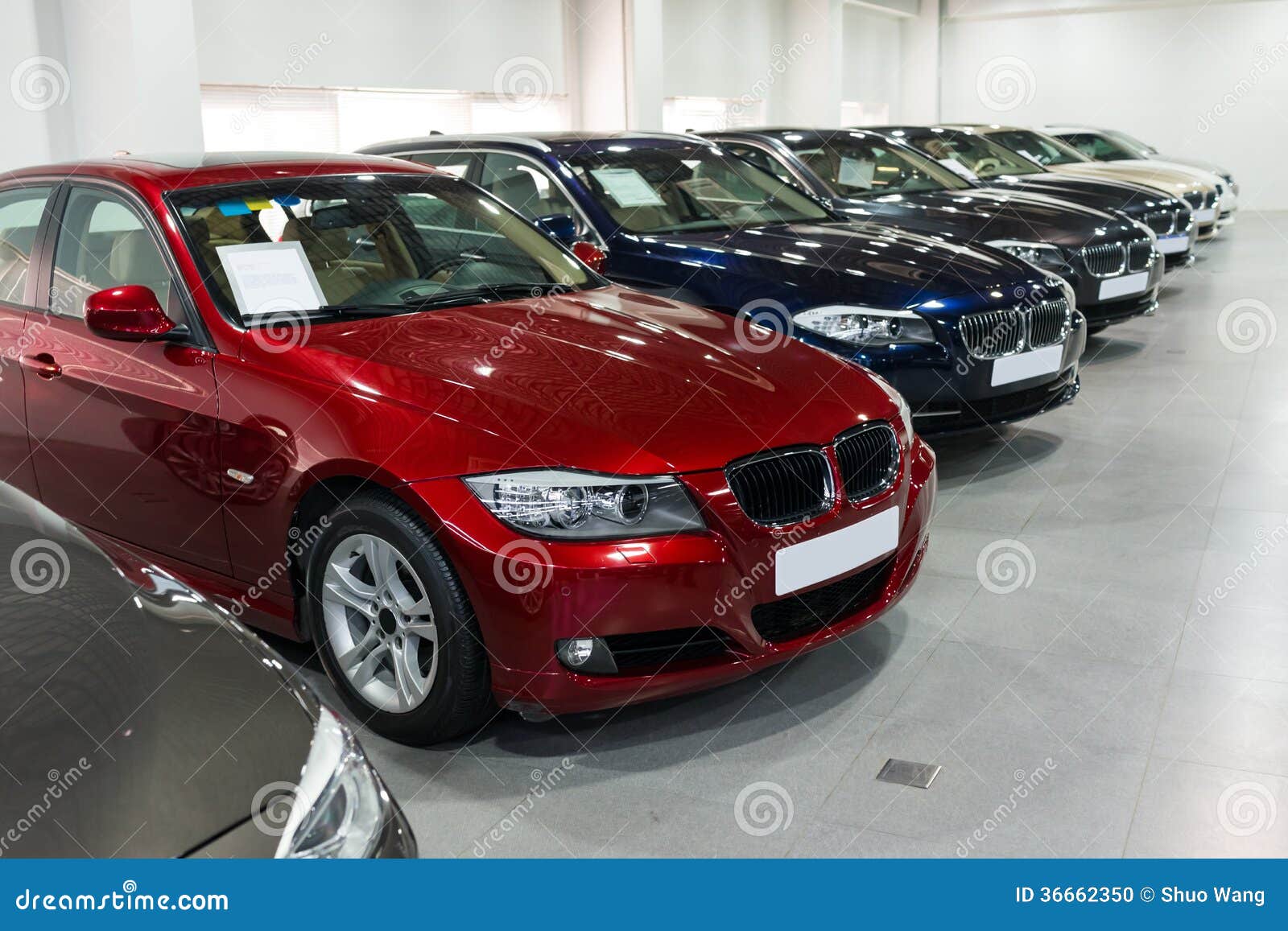 pack Executie passend Cars for sale in showroom stock photo. Image of coupe - 36662350