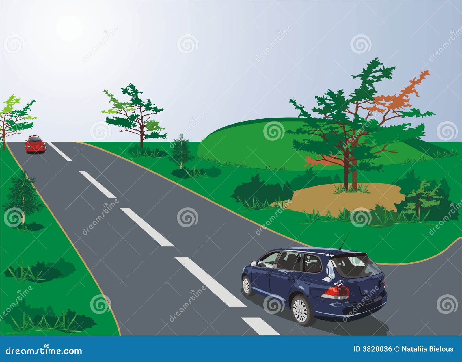 Cars of Sport Style on the Road Stock Vector Illustration of luxury