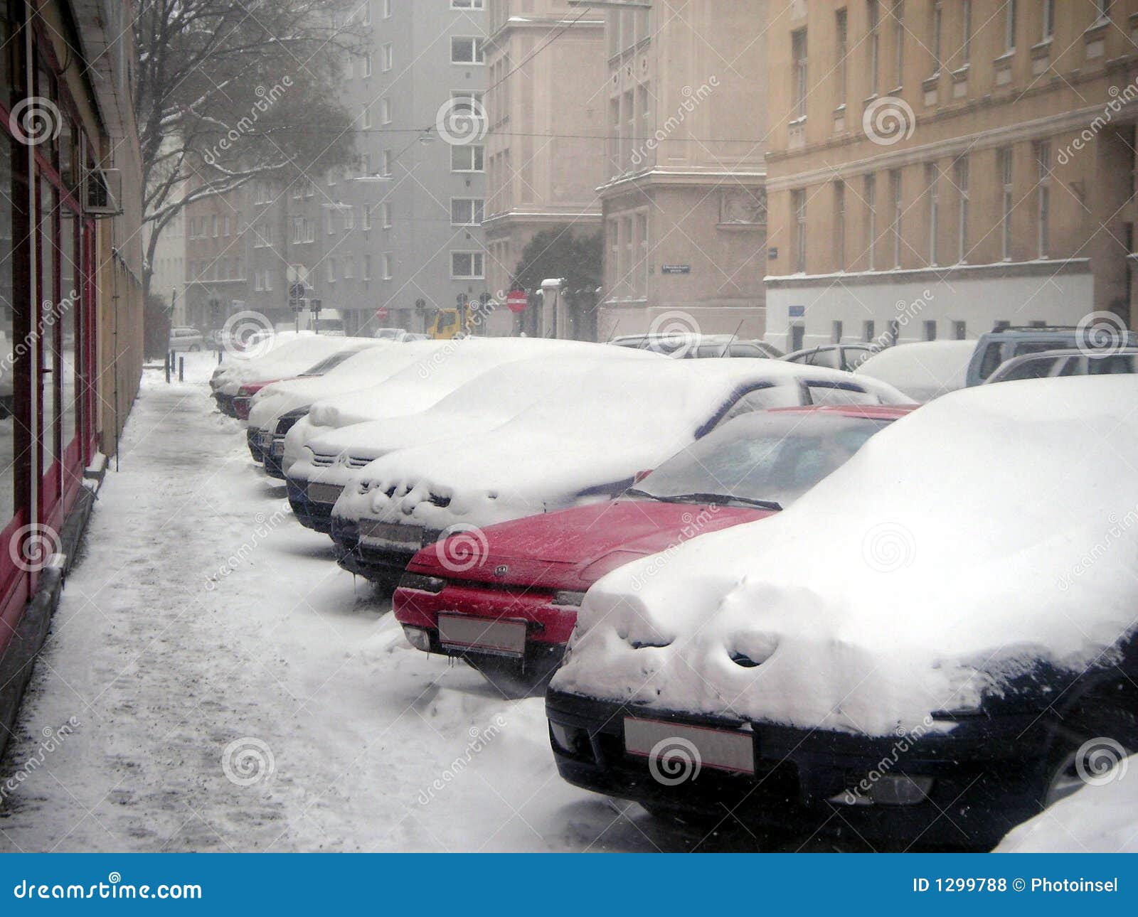 Cars under snow stock photo. Image of cars, blizzard, boreal 1299788