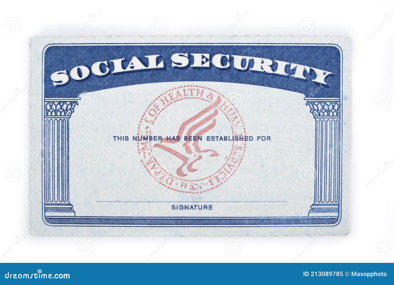 Carta di sicurezza sociale in bianco su un bianco