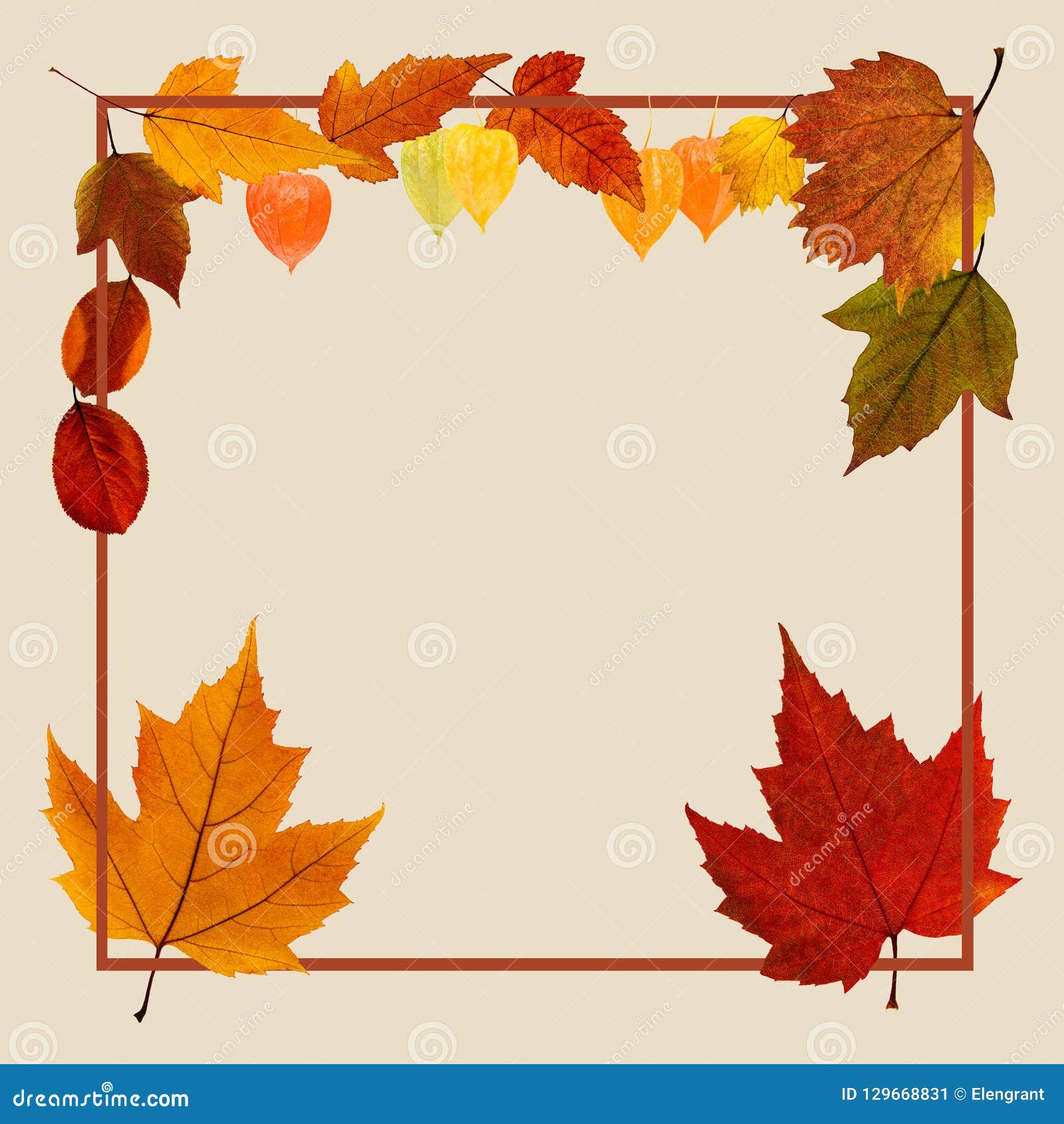 Cartaz Do Outono Com Folhas Da Queda Ilustração Stock - Ilustração de  inverno, outono: 129668831, image size:1600x1690