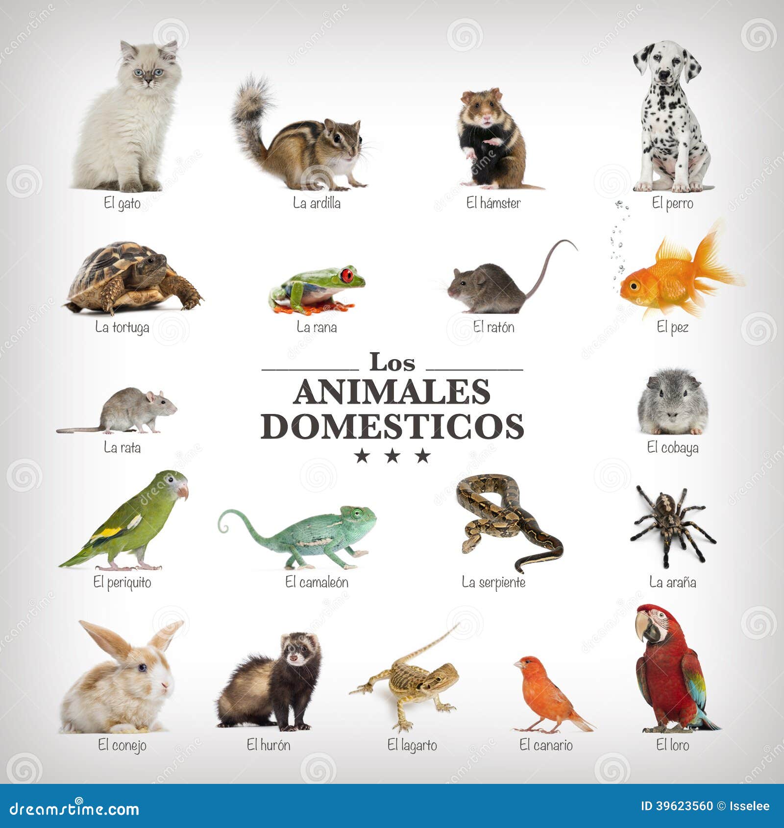 Fotos de Animais de estimação, Imagens de Animais de estimação sem  royalties | Depositphotos