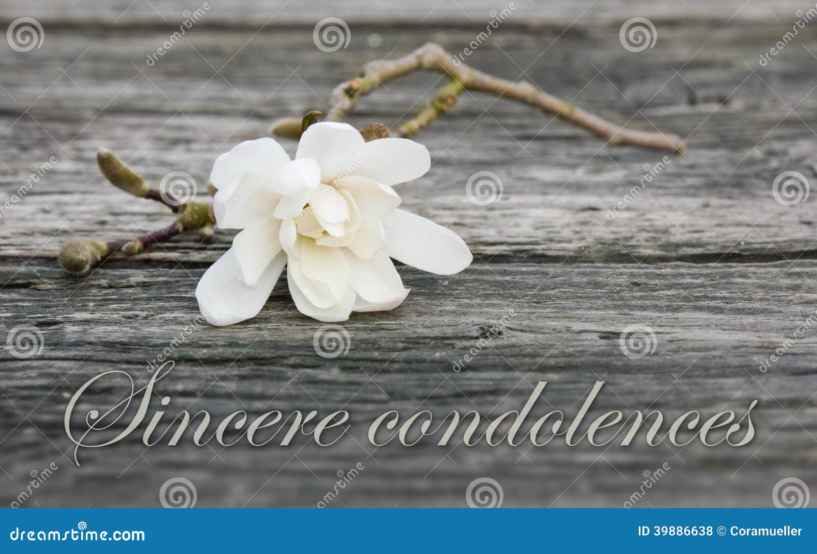 Carte de deuil photo stock. Image du anglais, deuil, lettrage 39886638