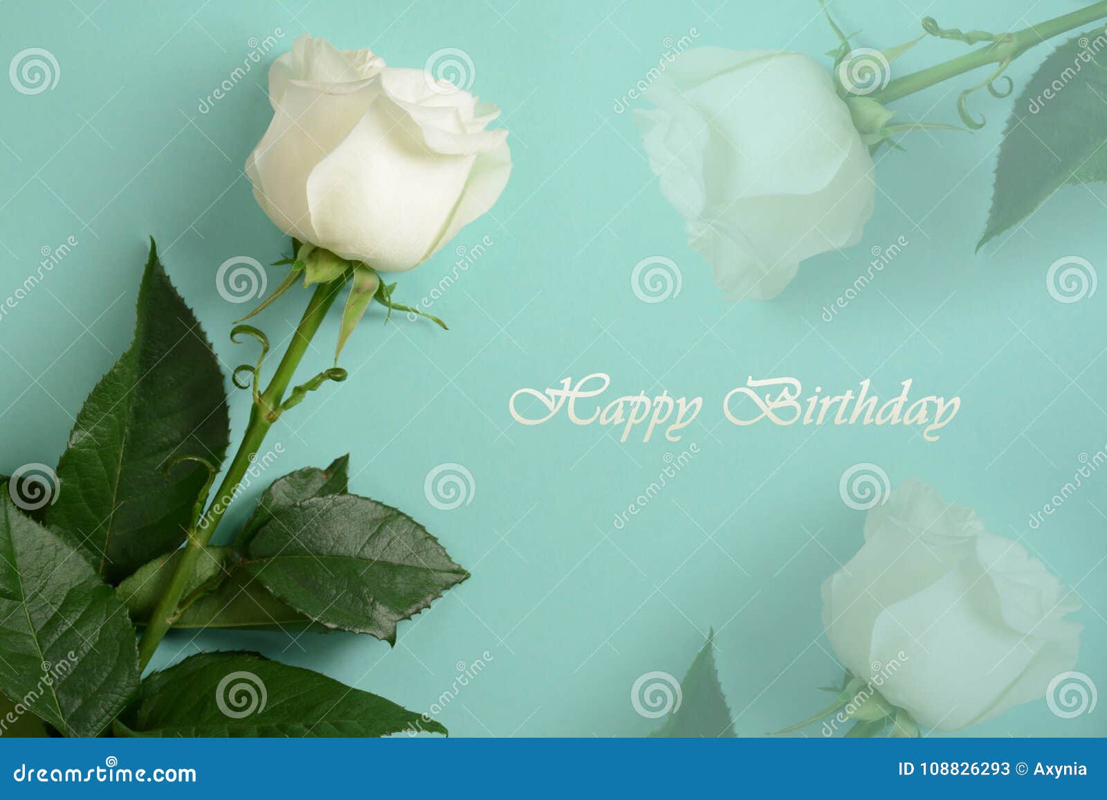 Carte De Joyeux Anniversaire Rose De Blanc Sur Le Fond De