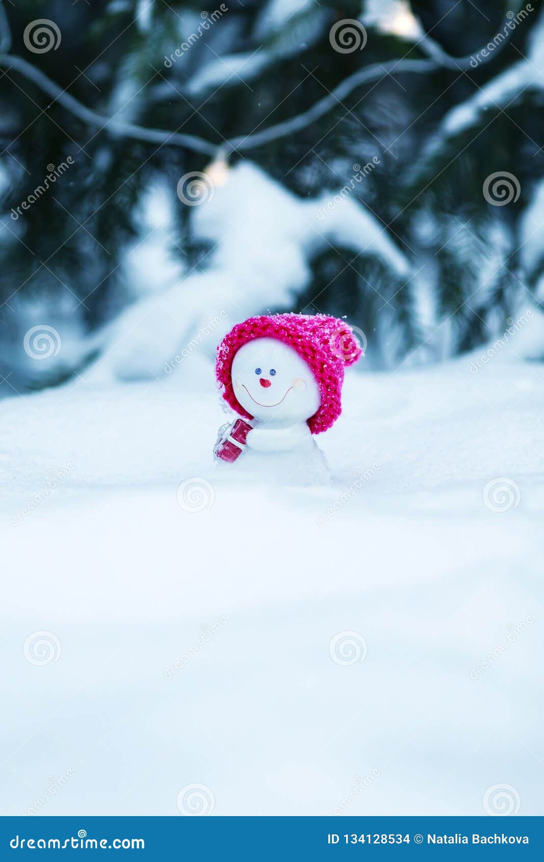 Carte De Noël Avec Un Bonhomme De Neige Drôle De Jouet Dans