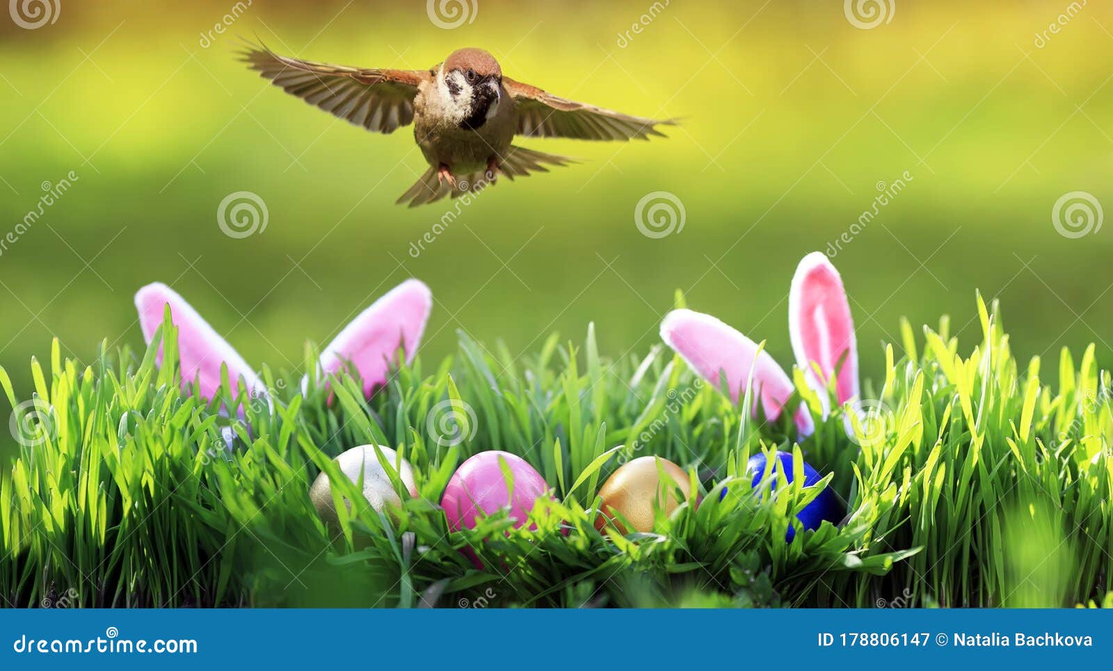 Pâques des œufs avec lapin oreilles, content Pâques journée