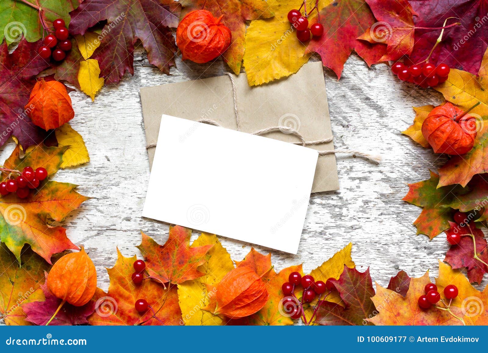 Carte De Voeux Blanche Vierge Dans Le Cadre De Feuilles D'automne Au-dessus  Du Fond En Bois Rustique Blanc Image stock - Image du bouleau, normal:  100609177