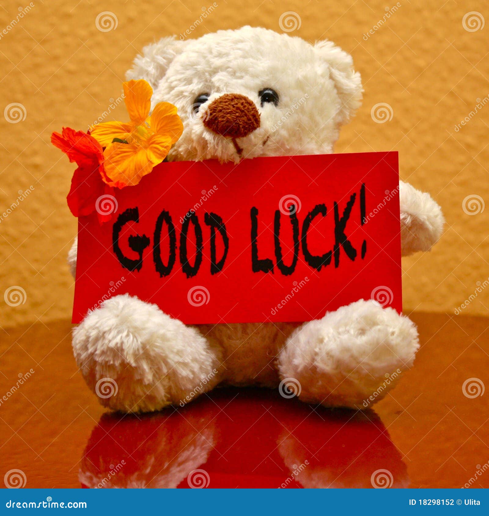 Carte De Voeux Bonne Chance Photo Stock Image Du Chance Fleurs