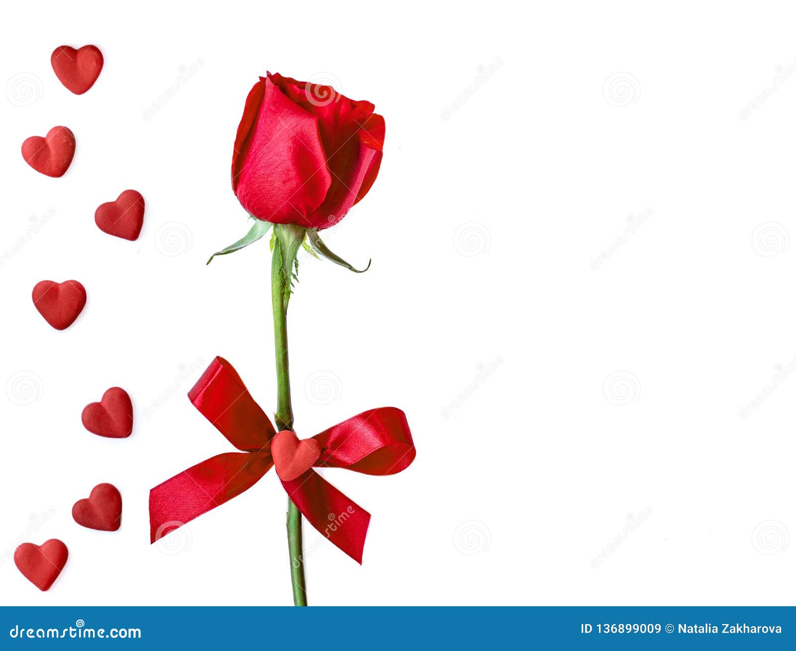 Carte De Voeux De Jour Du ` S De Valentine Et De Mariage Concept D'amour Belle  Rose Rouge Et Coeurs D'isolement Sur Le Fond Blanc Image stock - Image du  abstrait, heureux: