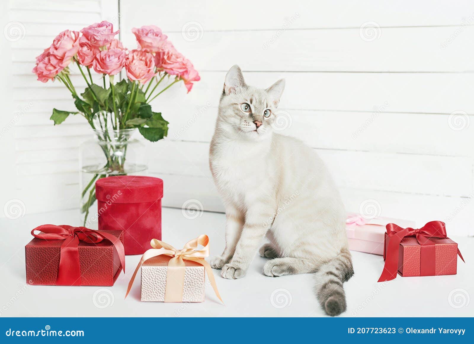 Carte De Voeux Valentines Bouquet De Fleurs Roses Fete Des Meres Modele Joyeux Anniversaire Mariage Image Stock Image Du Bouquet Vacances Carte De Voeux Valentines Bouquet De Fleurs Roses Fete Des Meres Modele Joyeux Anniversaire Mariage Image Stock Image Du Bouquet Vacances
