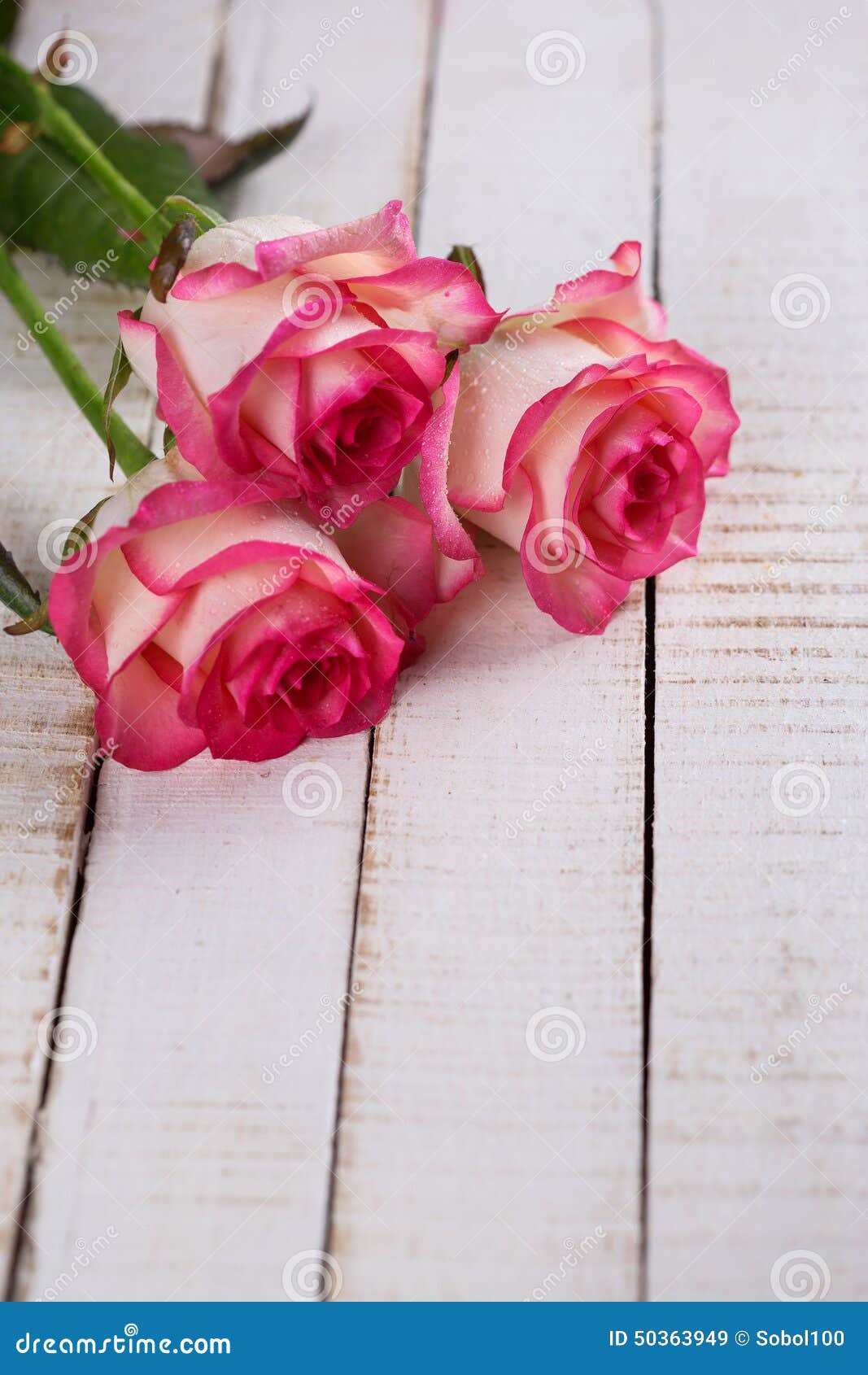 Carte Postale Avec Les Fleurs Elegantes Et Endroit Vide Pour Votre Texte Image Stock Image Du Fleurs Texte Carte Postale Avec Les Fleurs Elegantes Et Endroit Vide Pour Votre Texte Image Stock Image Du Fleurs Texte