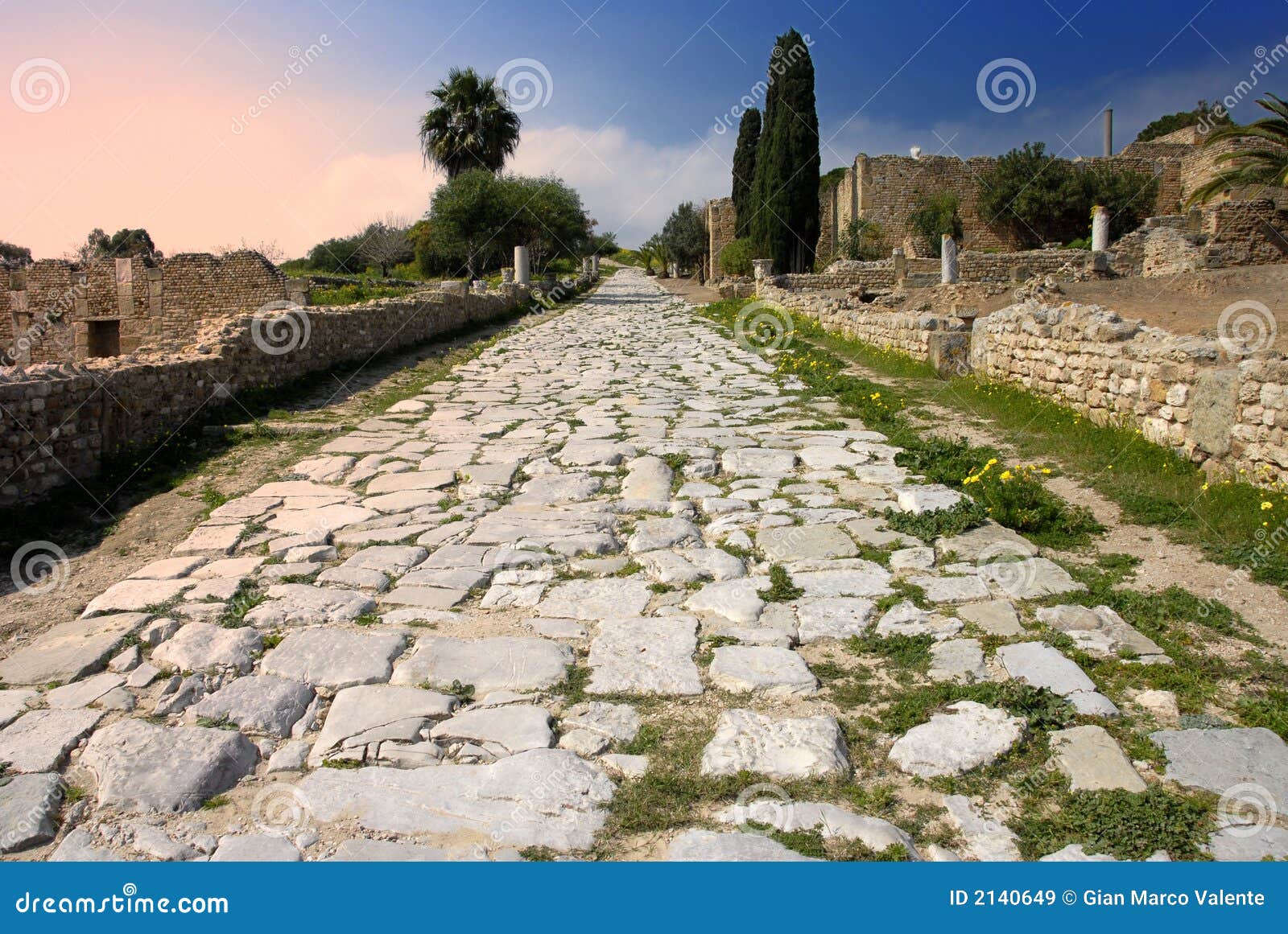 Carthage Ancient Roman Paved Royalty Free Stock Images Image 2140649