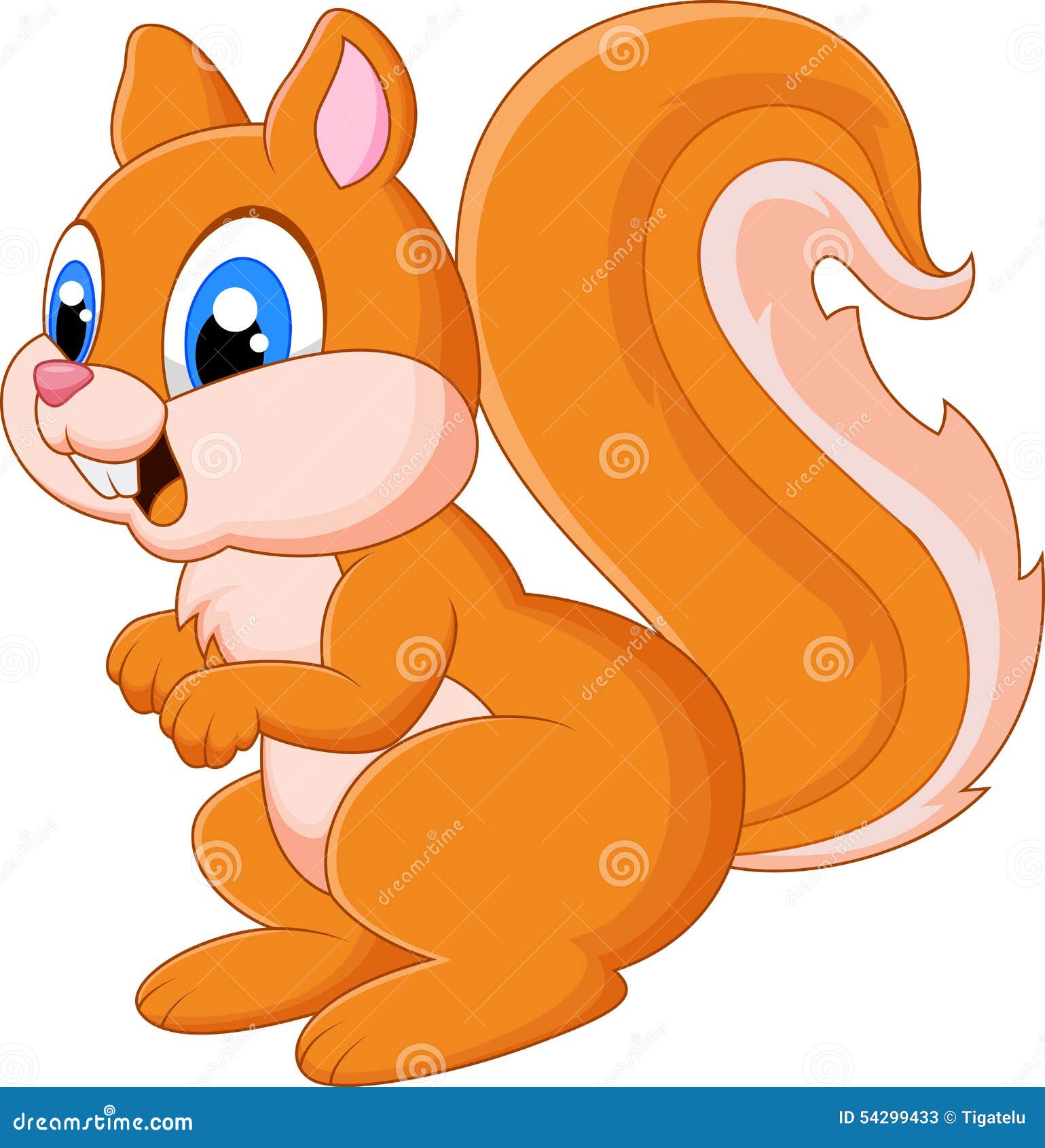 cartoon adorable squirrel