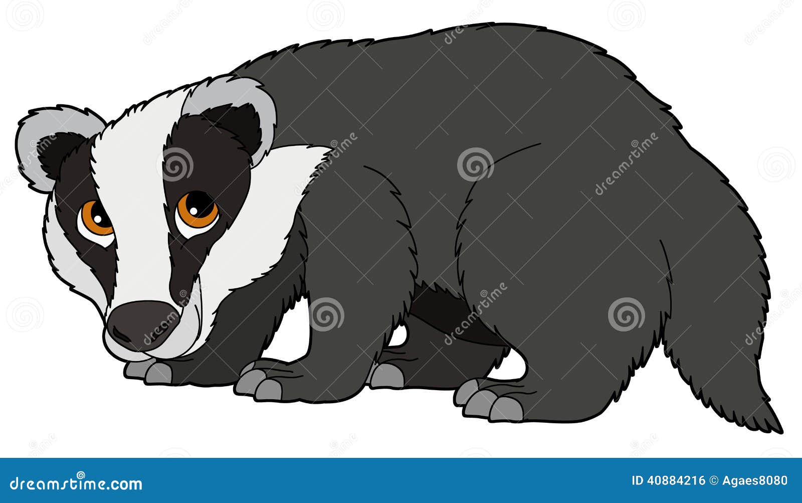 clipart badger - photo #27