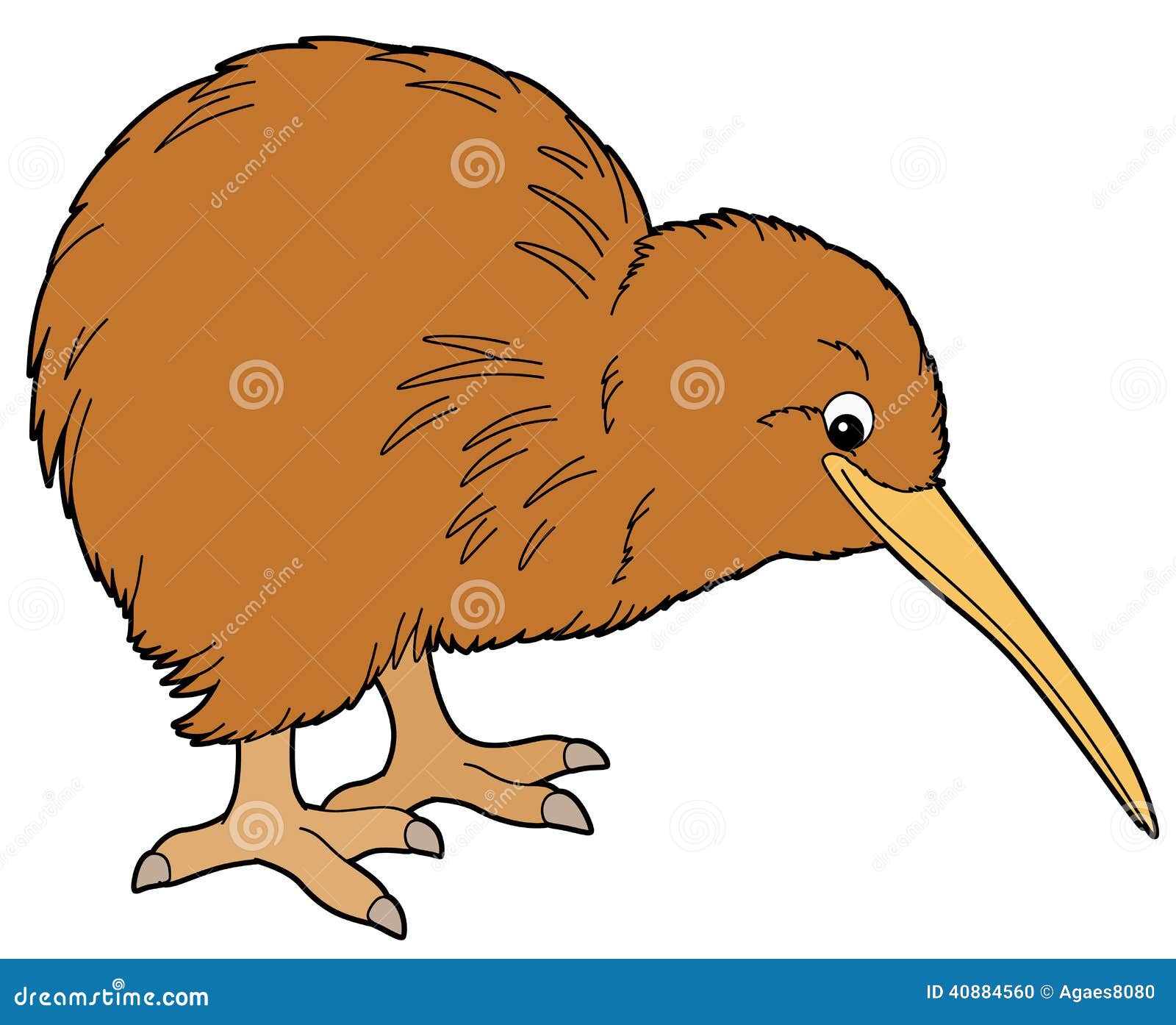 Cartoon Animal - Kiwi - Flat Coloring Style - Illustration for the Children  Stock Illustration - Illustration of small, white: 40884560