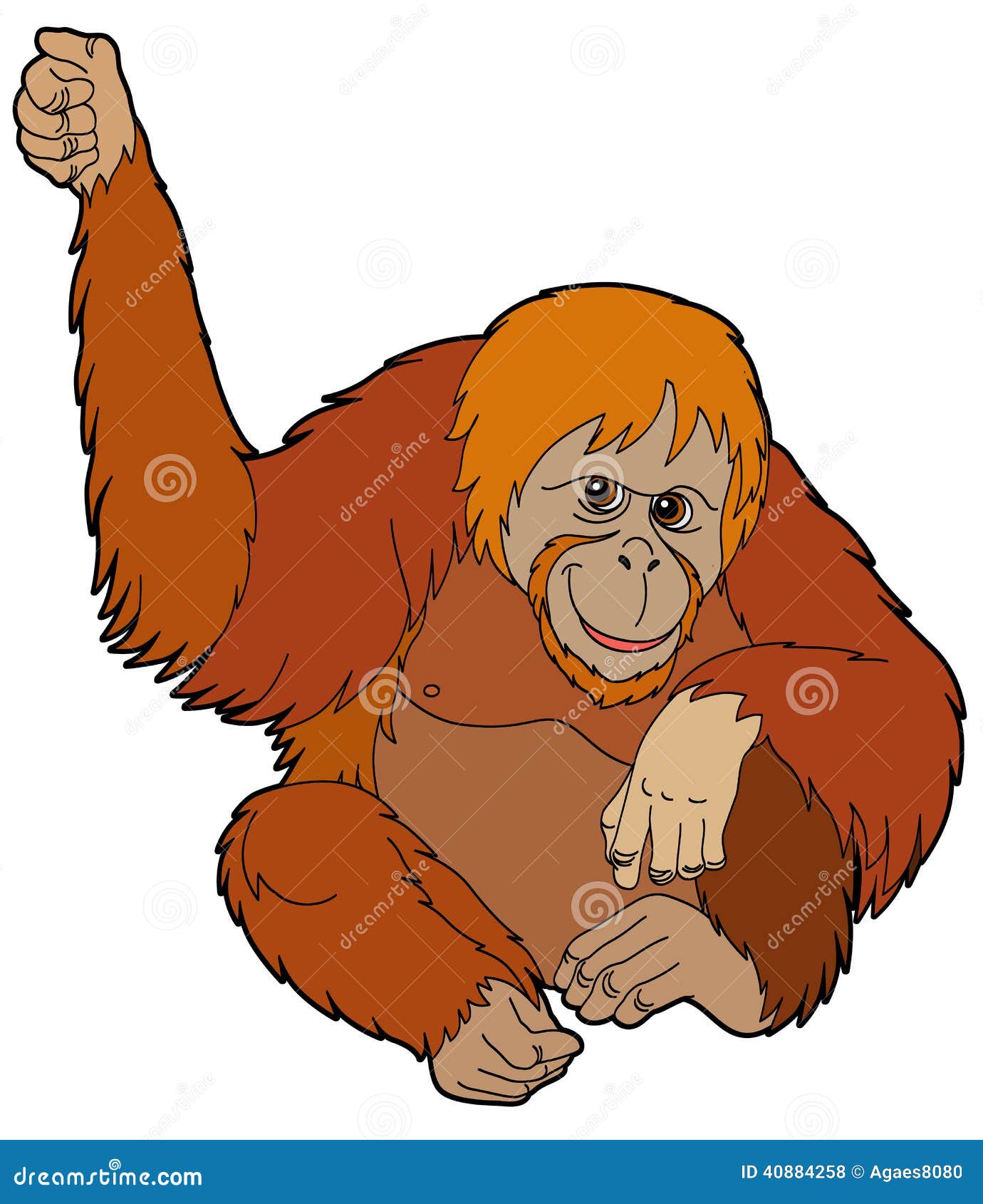  Cartoon  Animal Orangutan  Illustration For The Children 