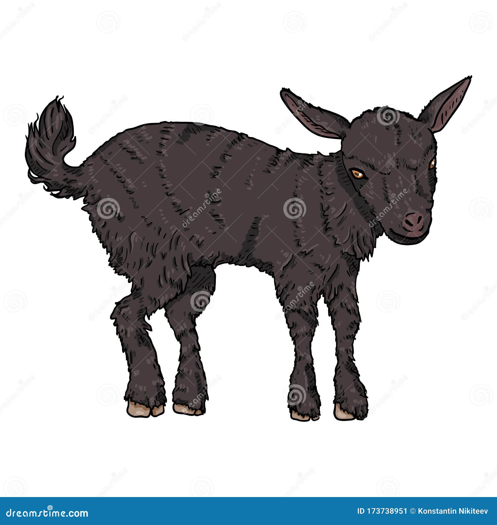 Cartoon Baby Goat. Vector Side View Illustration Stock Vector -  Illustration of meat, agriculture: 173738951