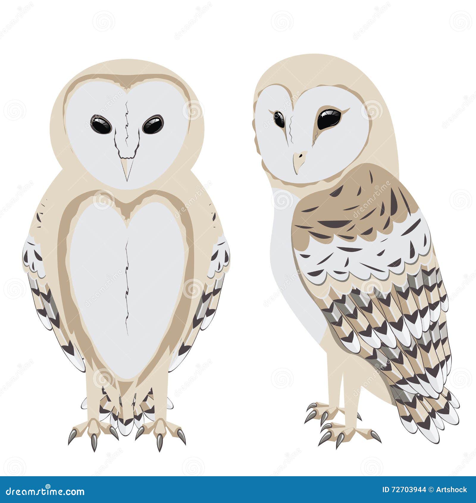 Cartoon Barn Owl stock vector. Illustration of cute, flying - 72703944