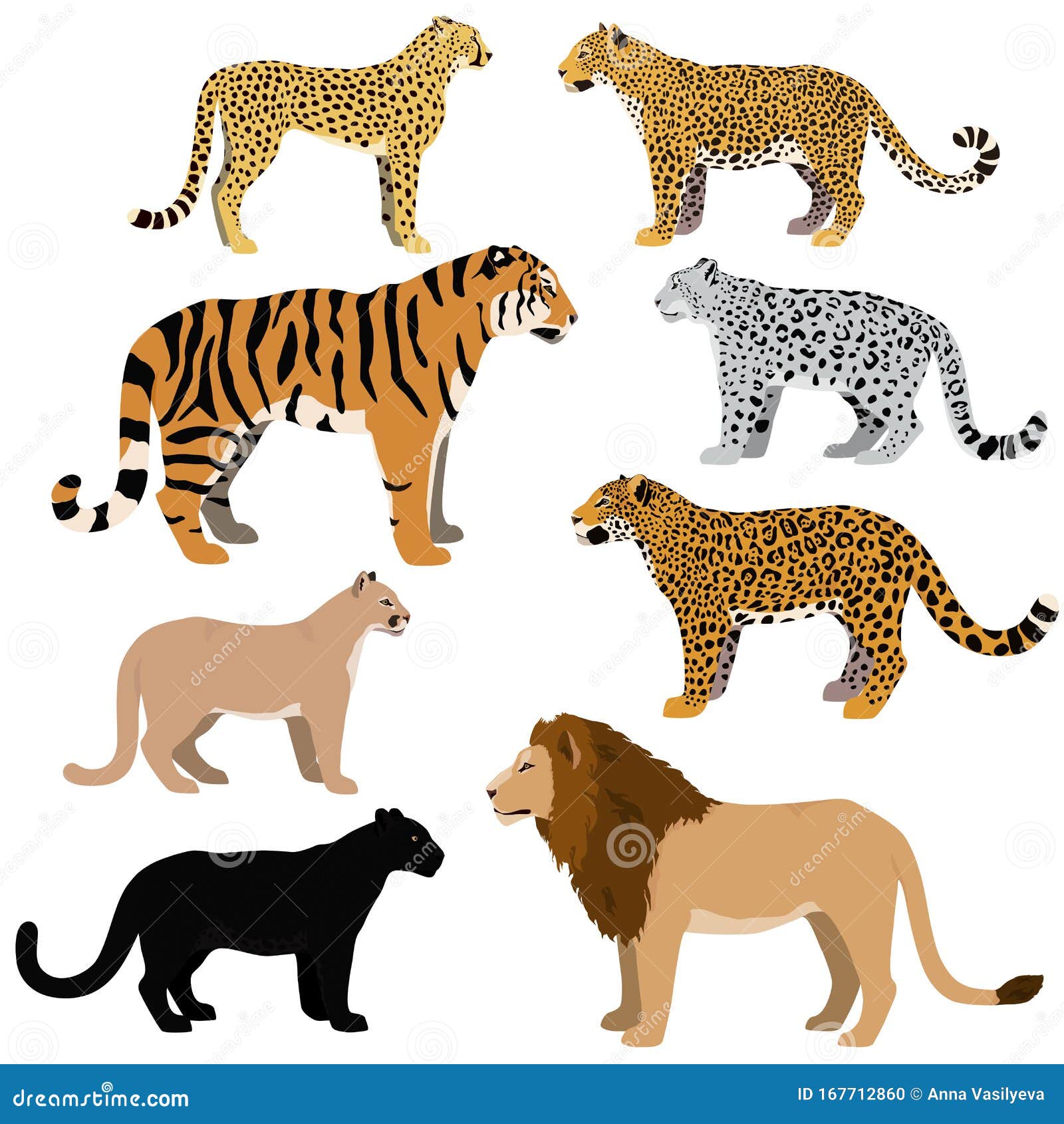 Cartoon Big Cats Vector Set Stock 