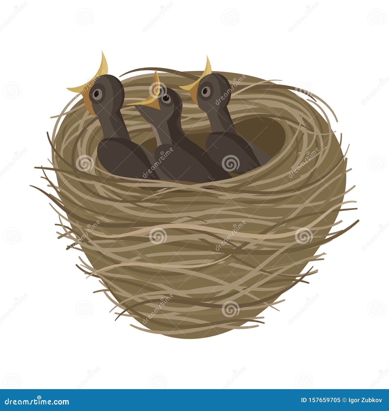 Cartoon Bird`s Nest with Chicks. Vector Illustration for Children. Springtime. Stock Vector - Illustration of clip, children: 157659705 Cartoon Bird`s Nest with Chicks. Vector Illustration for Children. Springtime. Stock Vector - Illustration of clip, children: 157659705