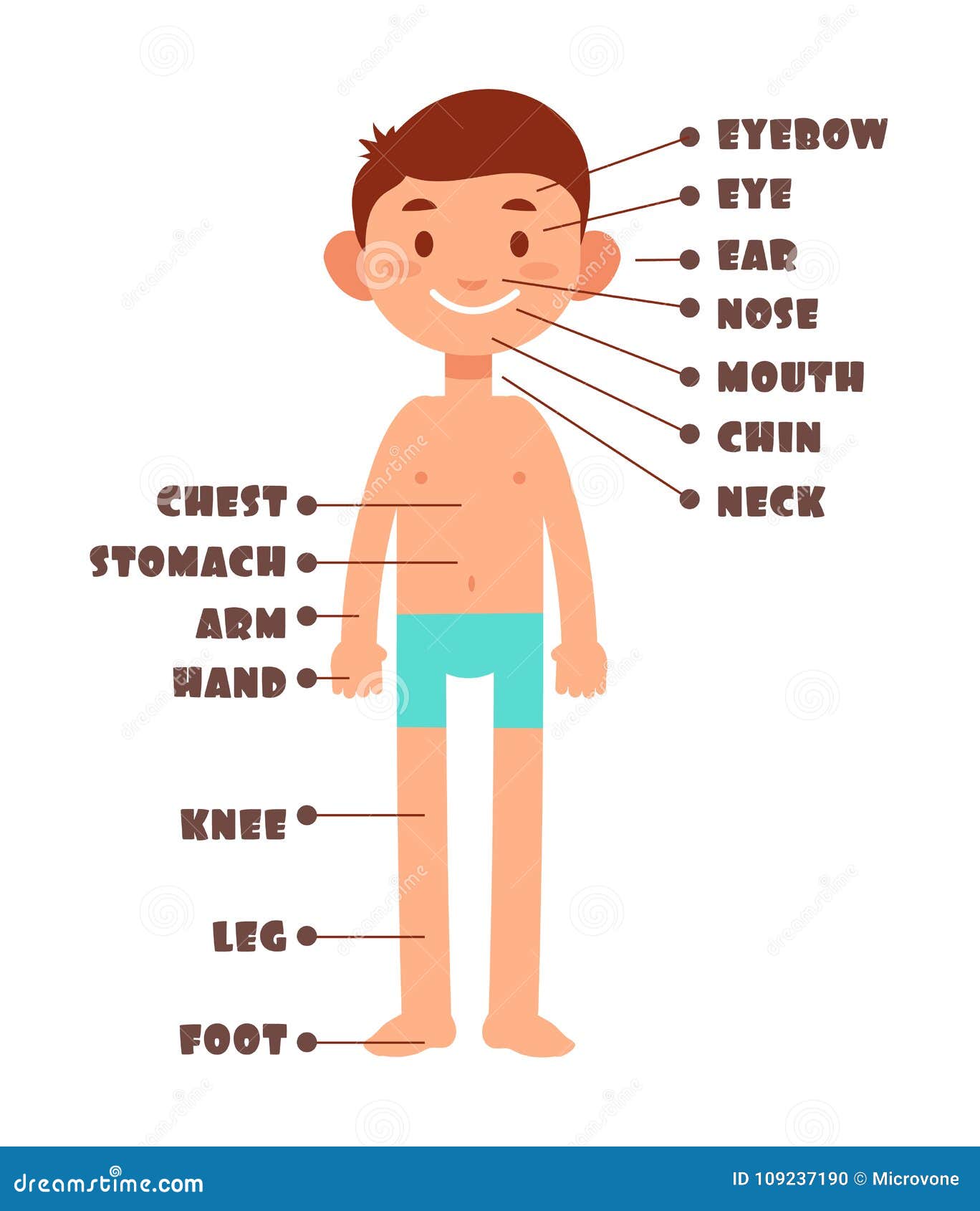 Clear side wall map the human body chart meridian points