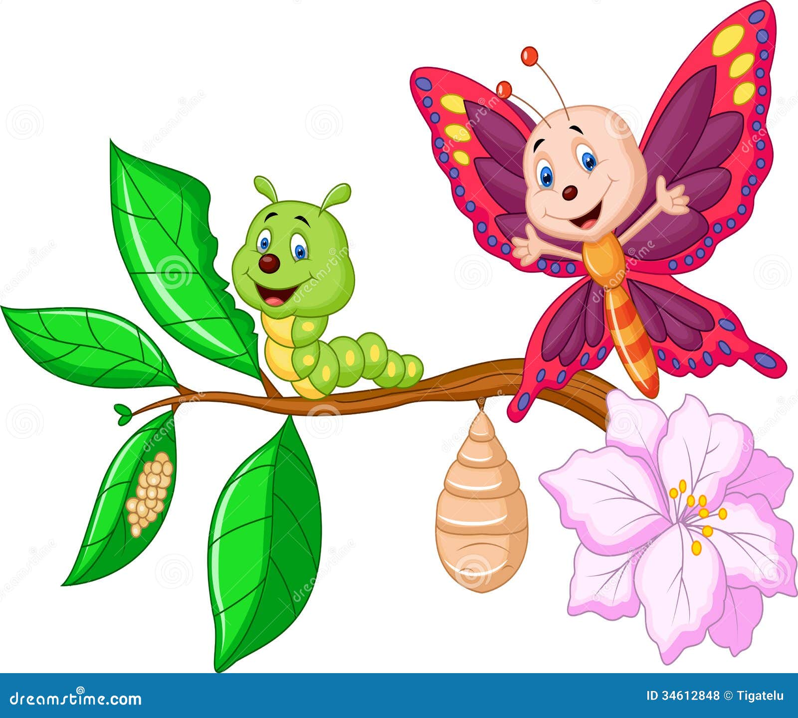 Image result for caterpillar to butterfly cartoon