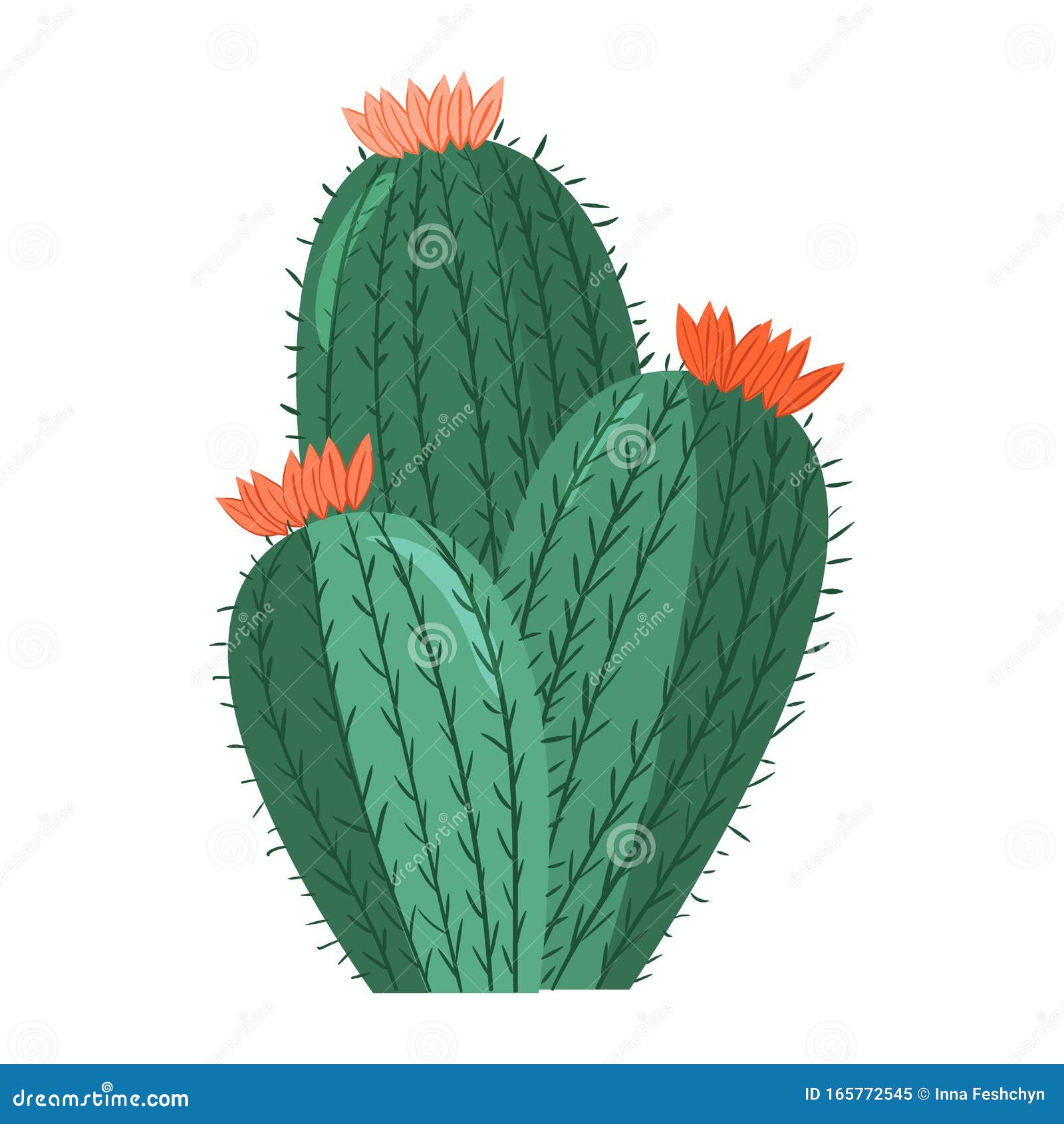 Cartoon Cactus. Vector Bright Cacti. Colored, Bright Cacti Flowers Isolated  on White Background Stock Vector - Illustration of nature, exotic: 165772545