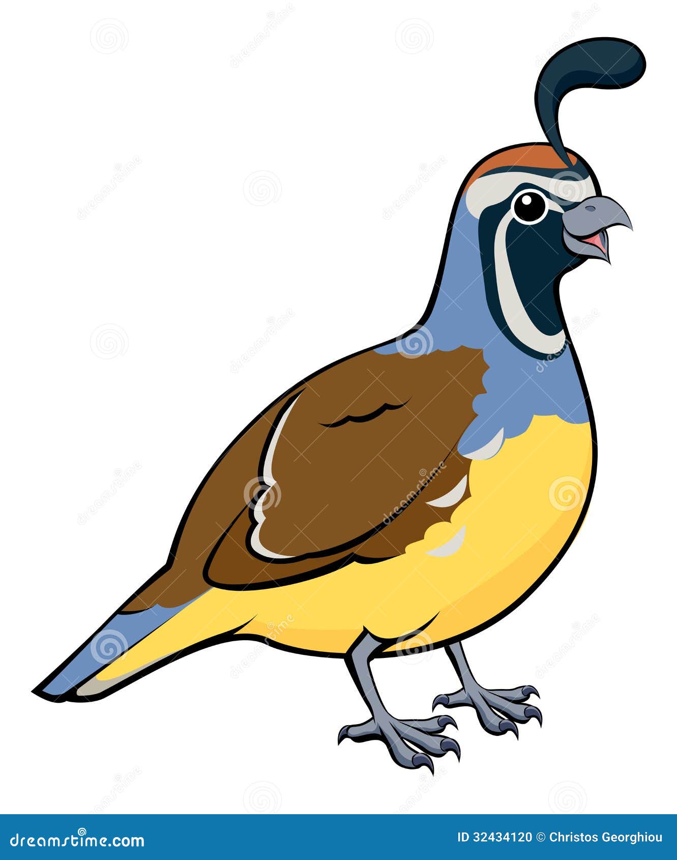 Cartoon California Quail stock vector. Illustration of california